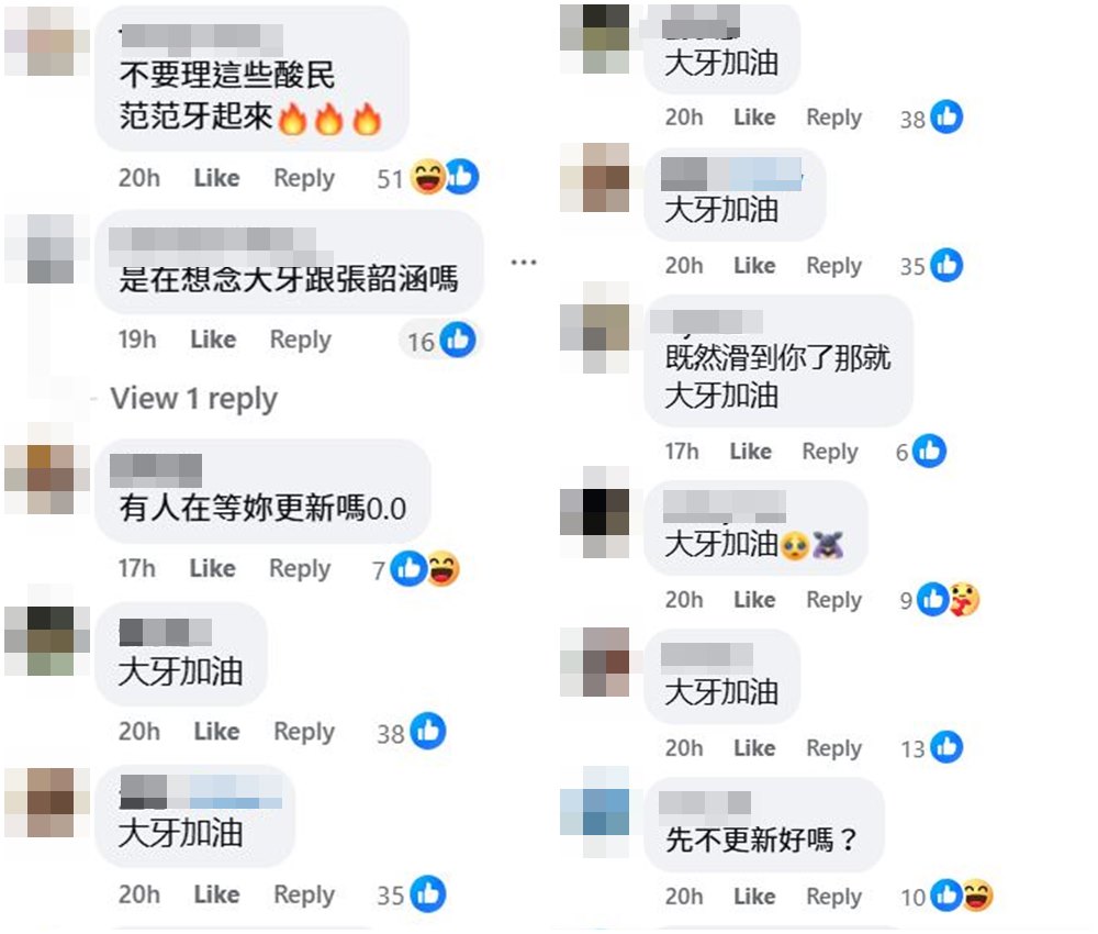 網友一面倒留言,狂酸范瑋琪。(翻攝范瑋琪臉書)