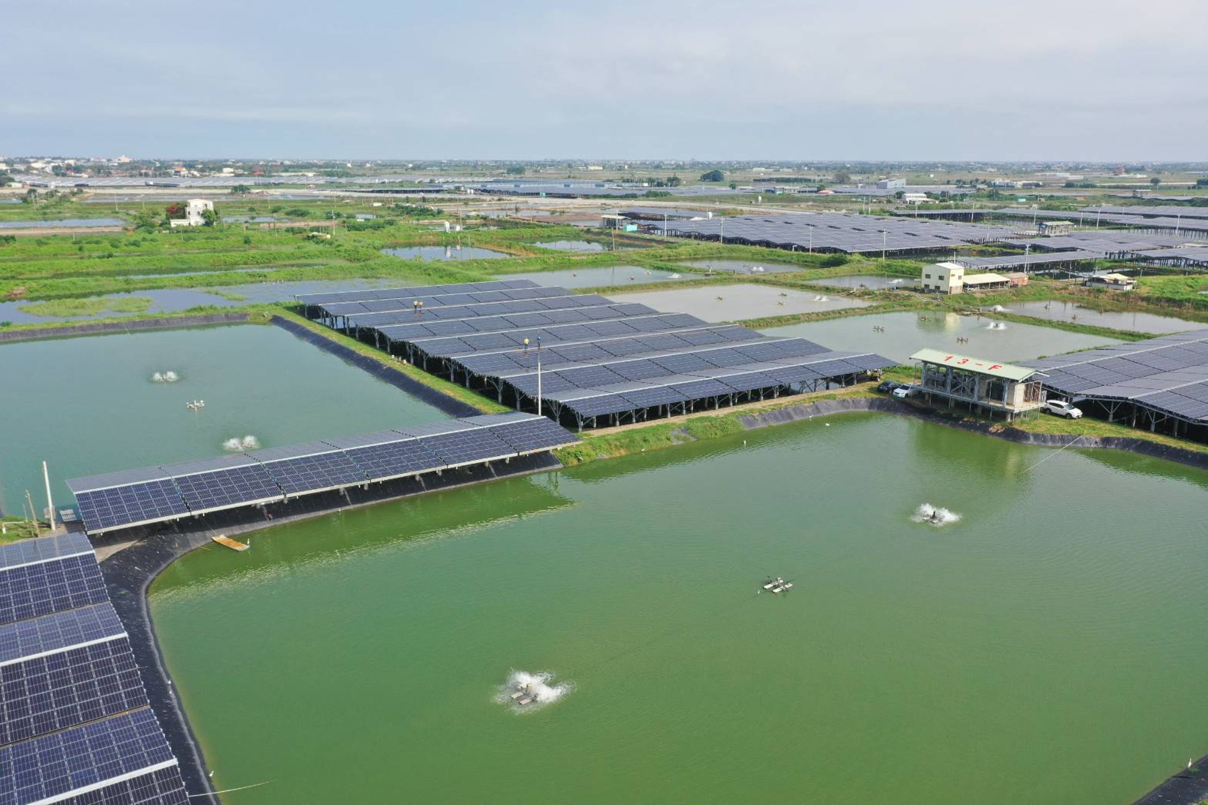 台泥綠能在嘉義的漁電共生案場工程，有3名主管向廠商索取回扣被起訴。（台泥綠能提供）