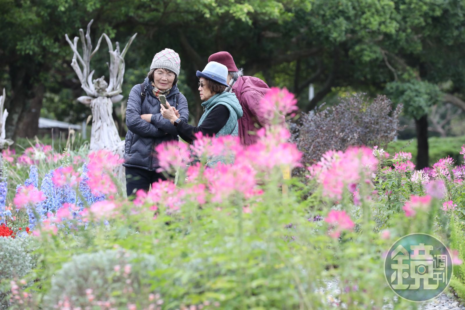 今晨最低17度！北海岸、東北部短暫雨不停　週末明顯回溫