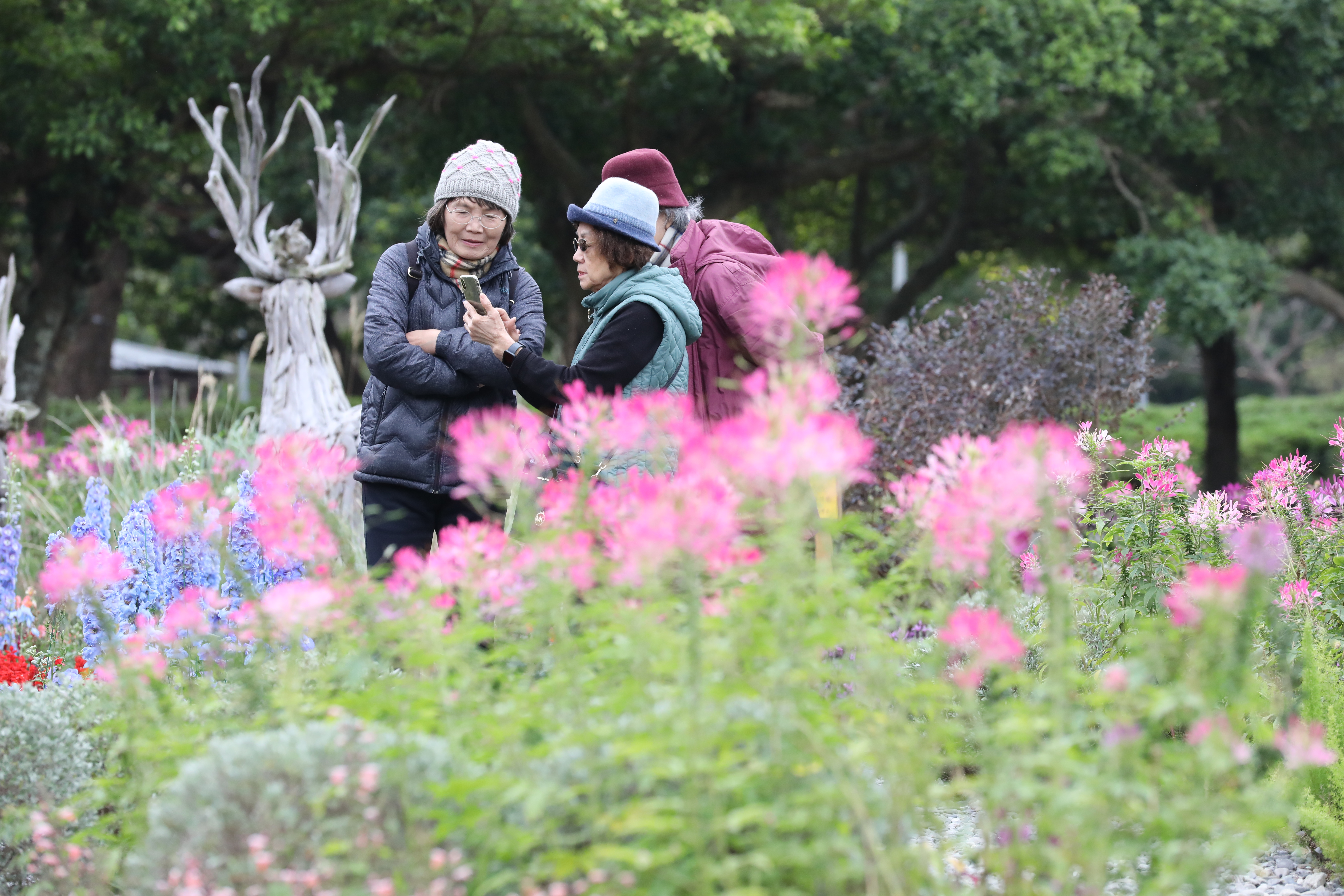 今日全台早晚偏涼，各地低溫落在17至19度之間。（本刊資料照）
