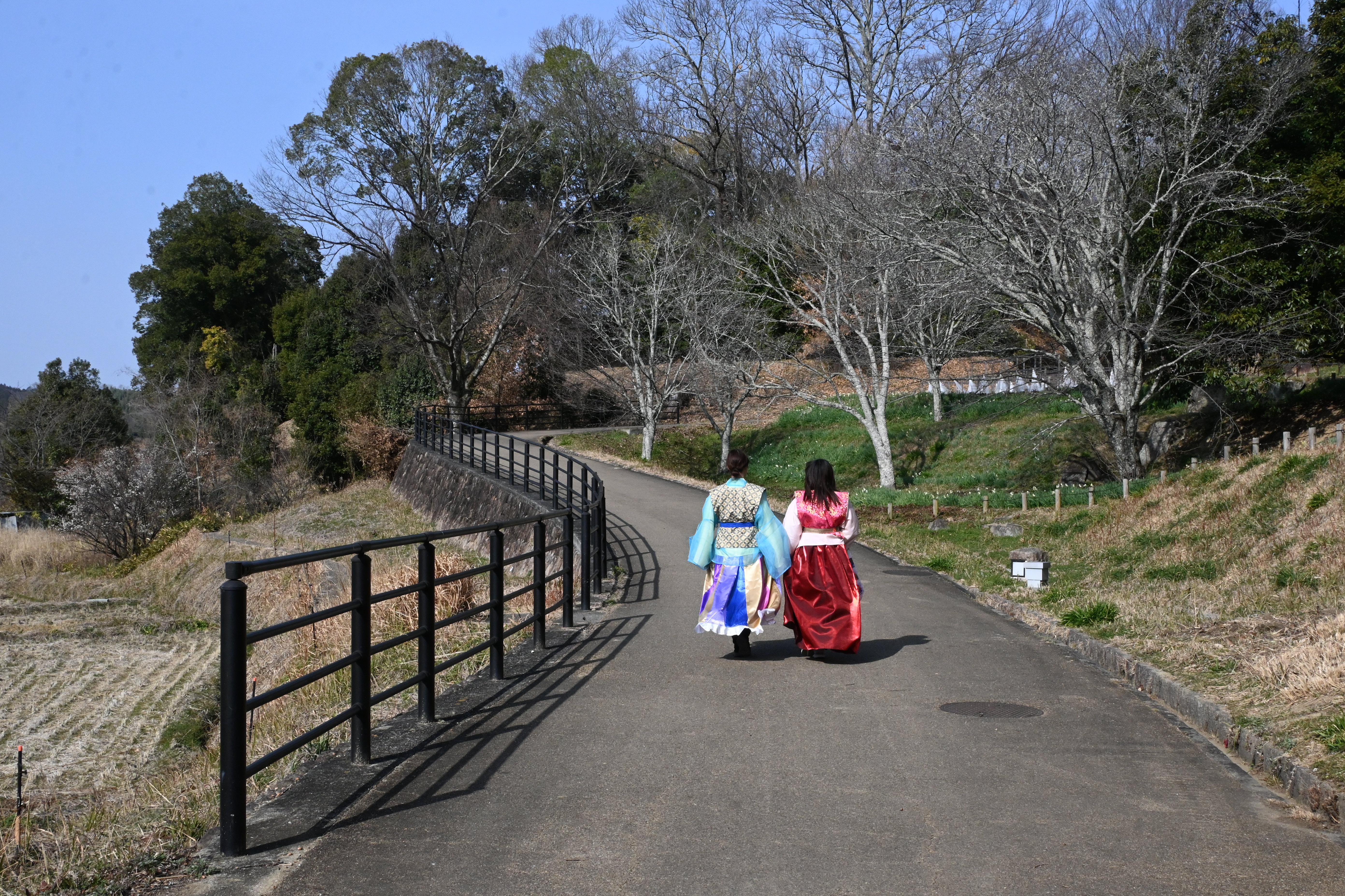 國營飛鳥歷史公園總面積廣達60公頃，高松塚古墳就位在裡面。