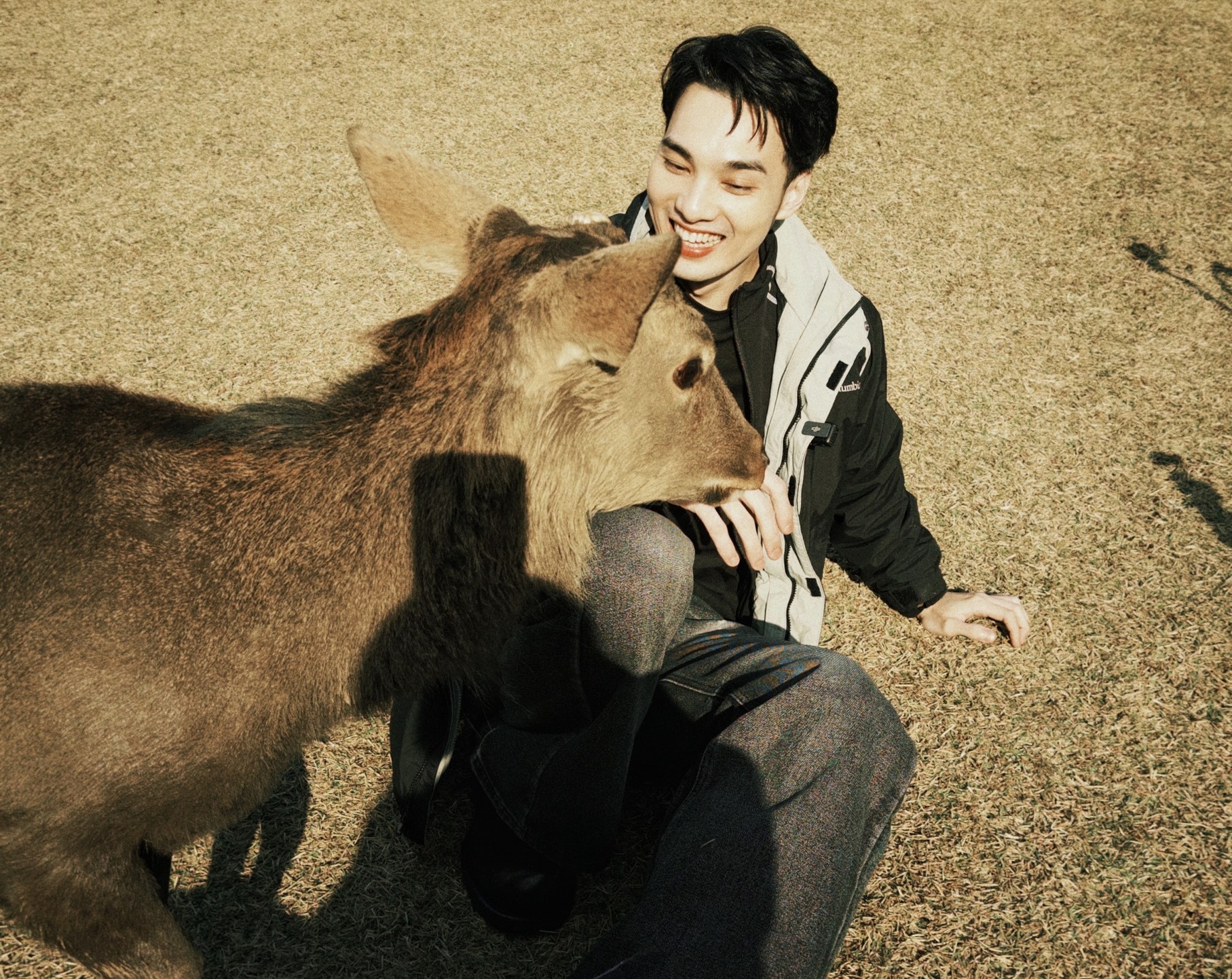 黃偉晉以導遊身分前往日本京都、奈良、大阪等知名景點。（八大提供）