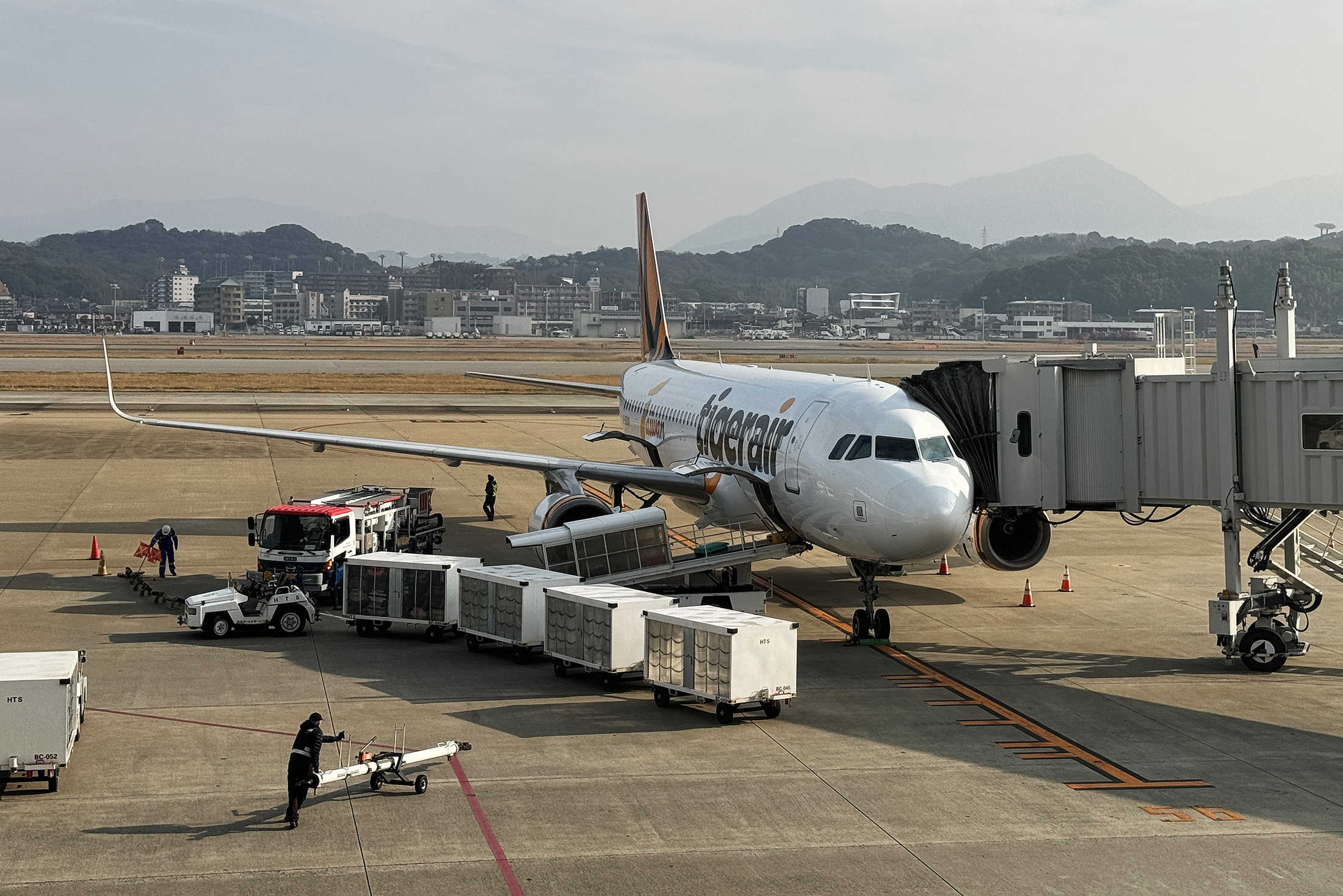 訂閱制「Team Tiger」讓旅客以月繳方式累積旅遊基金，降低說走就走的心理門檻，也為虎航提前鎖定高頻率旅客。