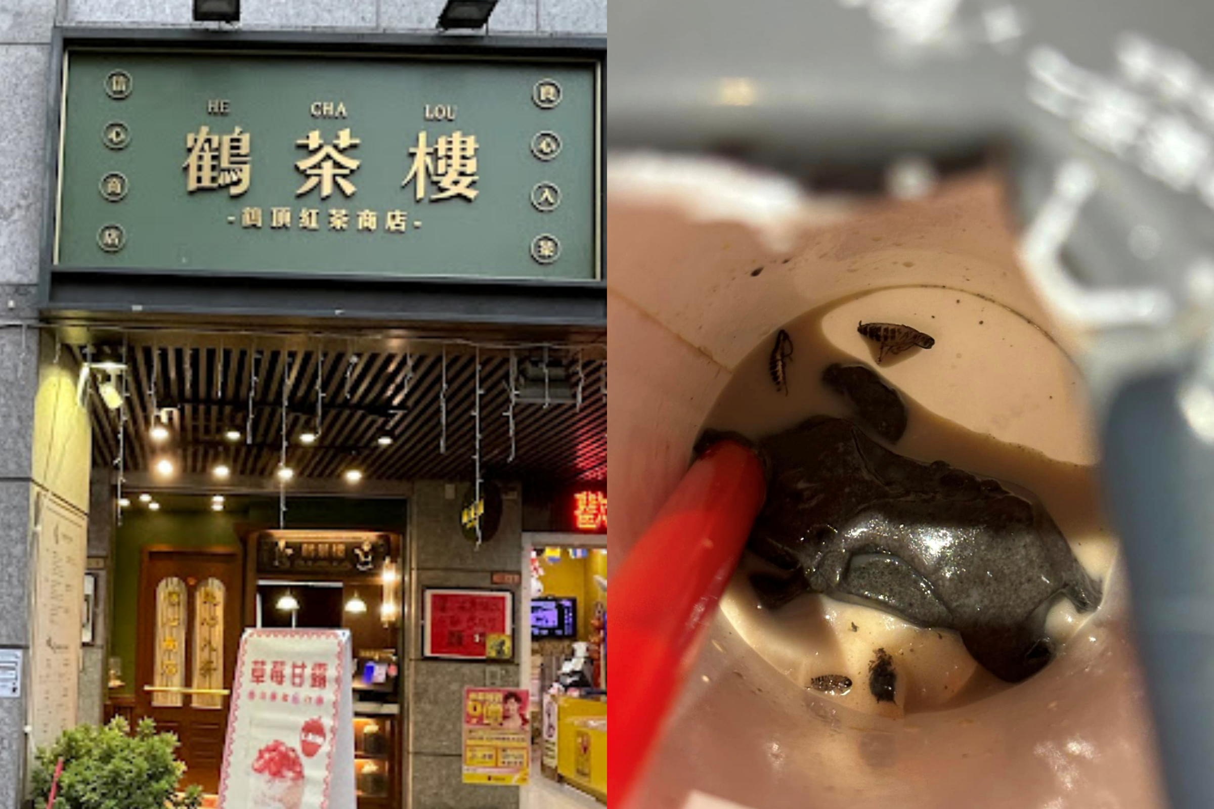 鶴茶樓中山晴光分店發生食安問題,消費者在飲料中喝到多隻蟑螂。(合成圖,翻攝畫面)