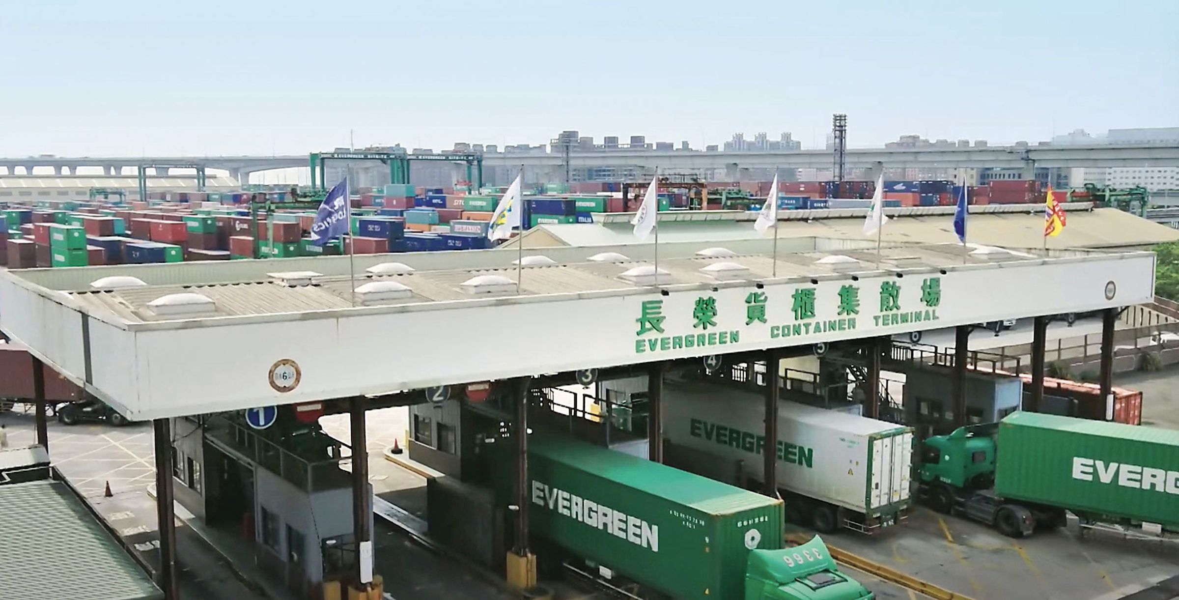 長榮國際儲運業績表現亮眼。 （翻攝長榮50週年影片） 