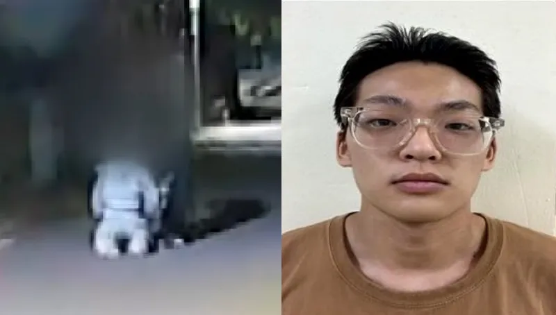 丈母娘肉身擋刀慘遭刺亡！26歲韓男跟蹤18次「娘家強擄妻子」　驚悚過程曝光