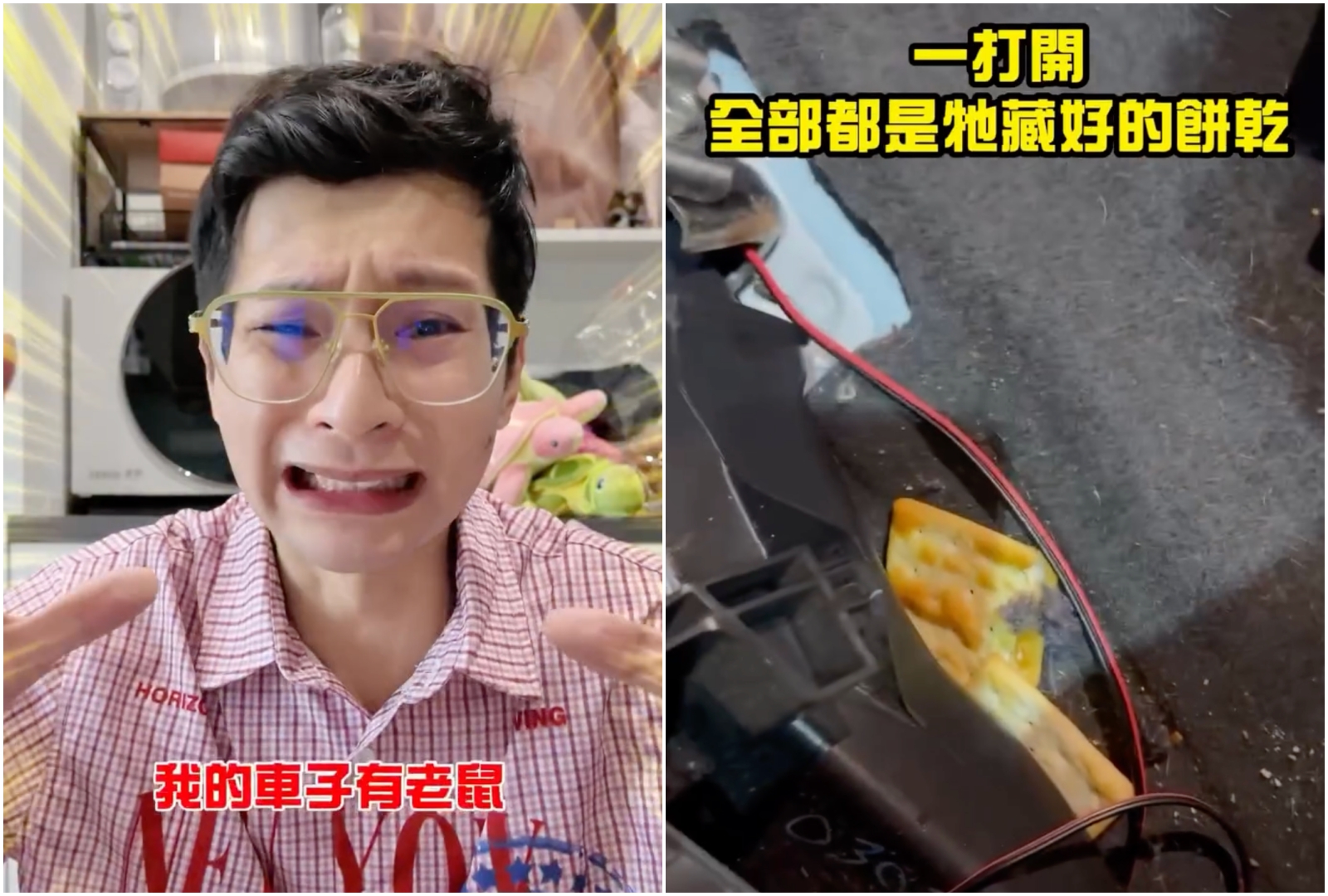 逸祥近日透露自己的愛車被老鼠入侵，最後只好尋求車廠的幫忙，沒想到內裝打開讓他直接嚇傻。（翻攝自逸祥IG）