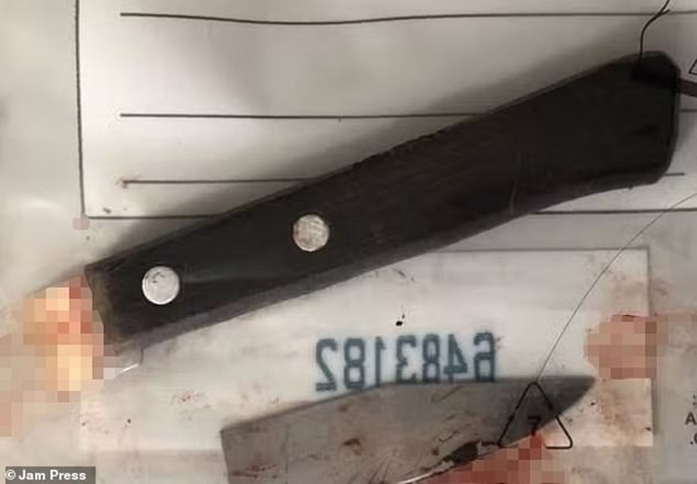 保利諾犯案的凶器。(翻自《每日郵報》)