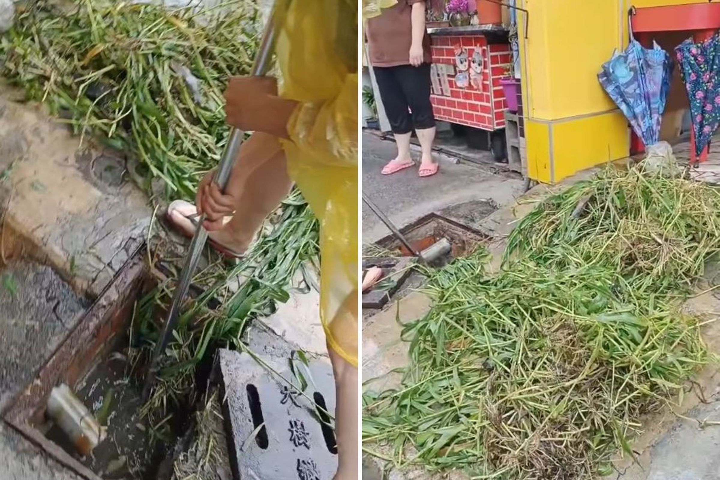 高雄大雨水溝堵塞，一清挖出600公斤雜草。（翻攝臉書）