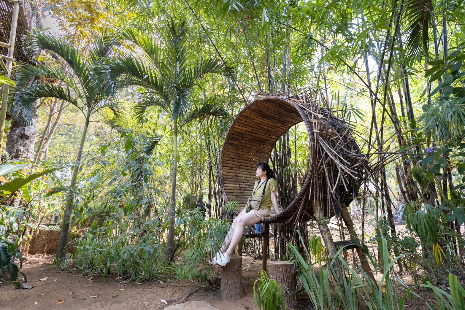 「Cacaoyan  Forest Park  Restaurant」在餐廳後方打造了充滿藝術裝置的特色空間。