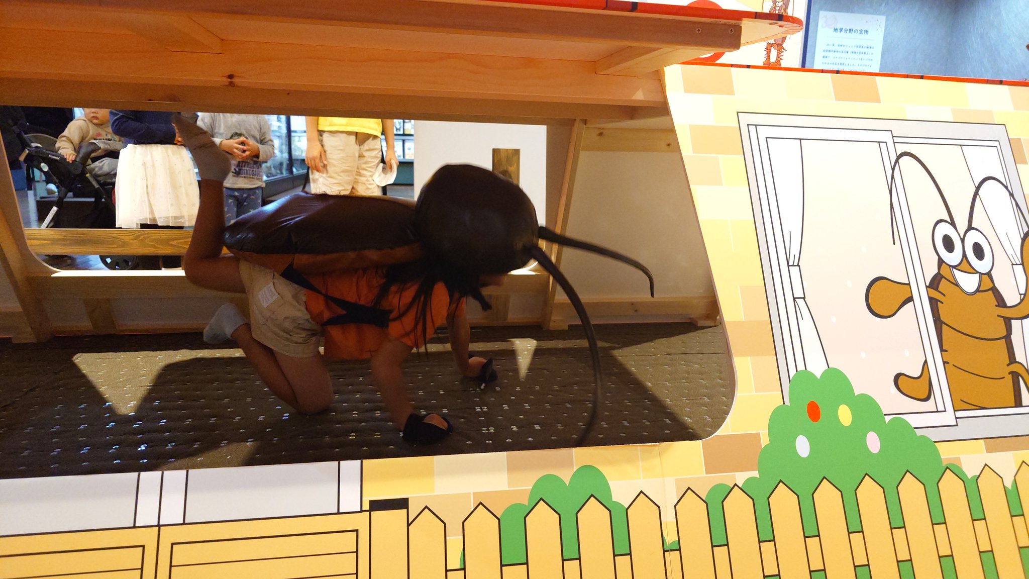 茨城縣立自然博物館近日推出「蟑螂屋」體驗活動，讓小朋友化身蟑螂體驗被抓的感受。（翻攝自X平台）