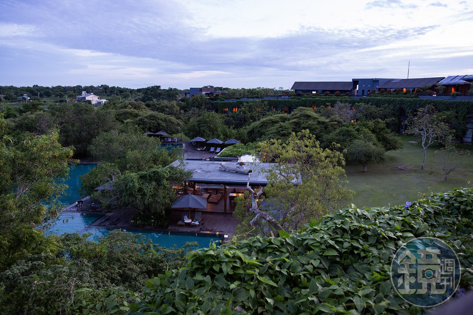 斯里蘭卡6-4/野性的魅力:從雅拉荒野到紅樹林祕境 體驗無法掌控的美麗