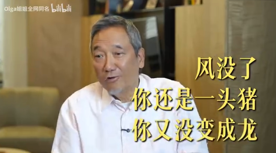 蘇敬軾背景被起底大有來頭。(費思兔提供/翻攝自嗶哩嗶哩)