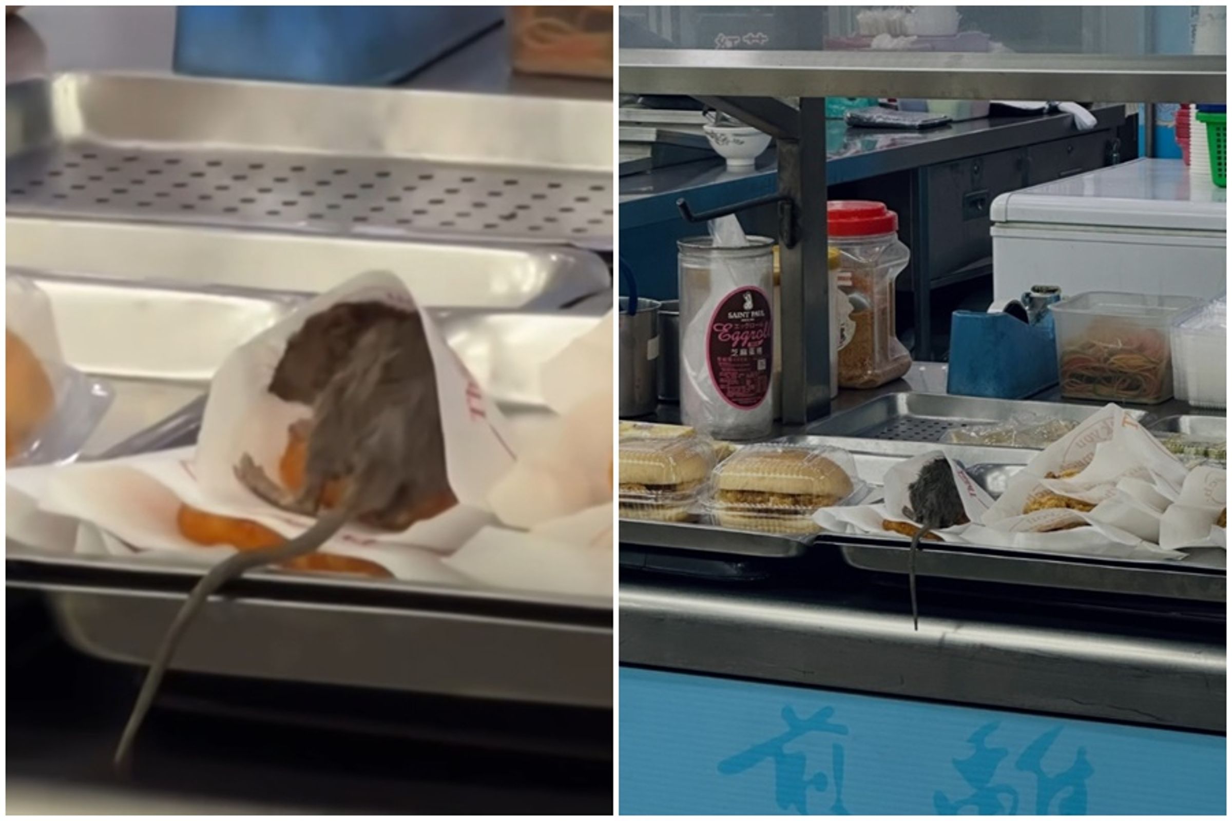高雄前鎮區一家豆漿店餐檯上有老鼠在吃薯餅，畫面遭民眾錄下在社群廣傳。（翻攝自臉書爆廢公社公開版）