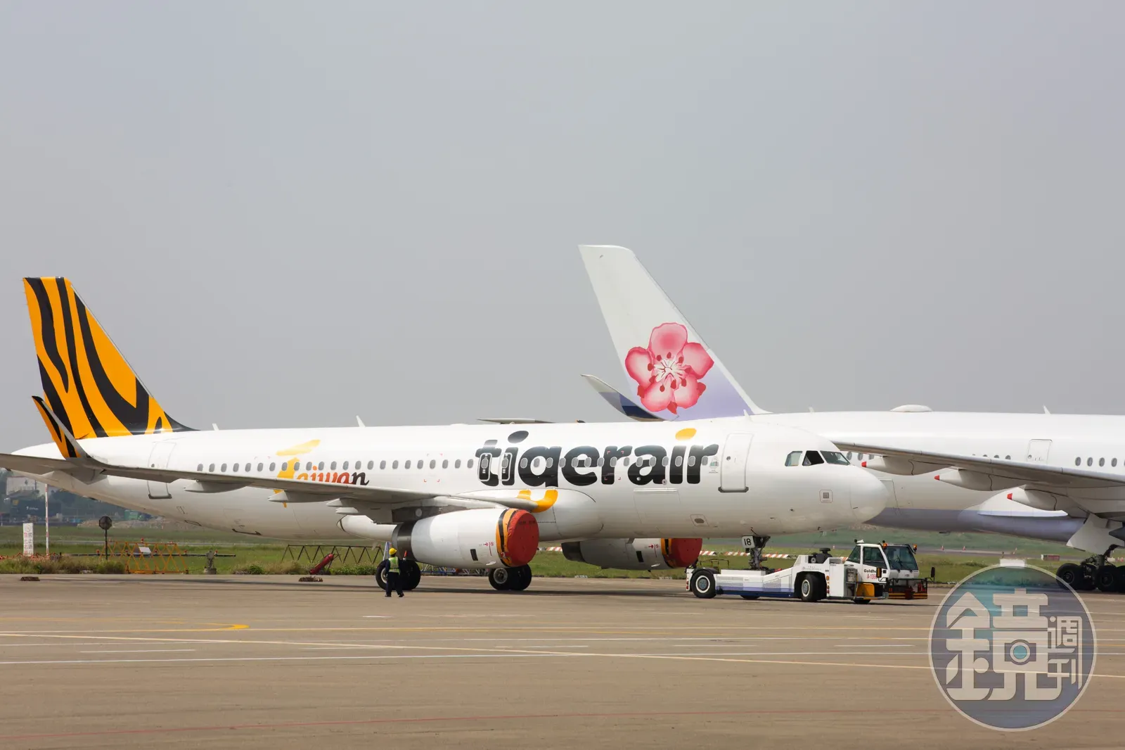 慶祝台灣隊首勝，虎航宣布指定航線10%優惠。（本刊資料照）