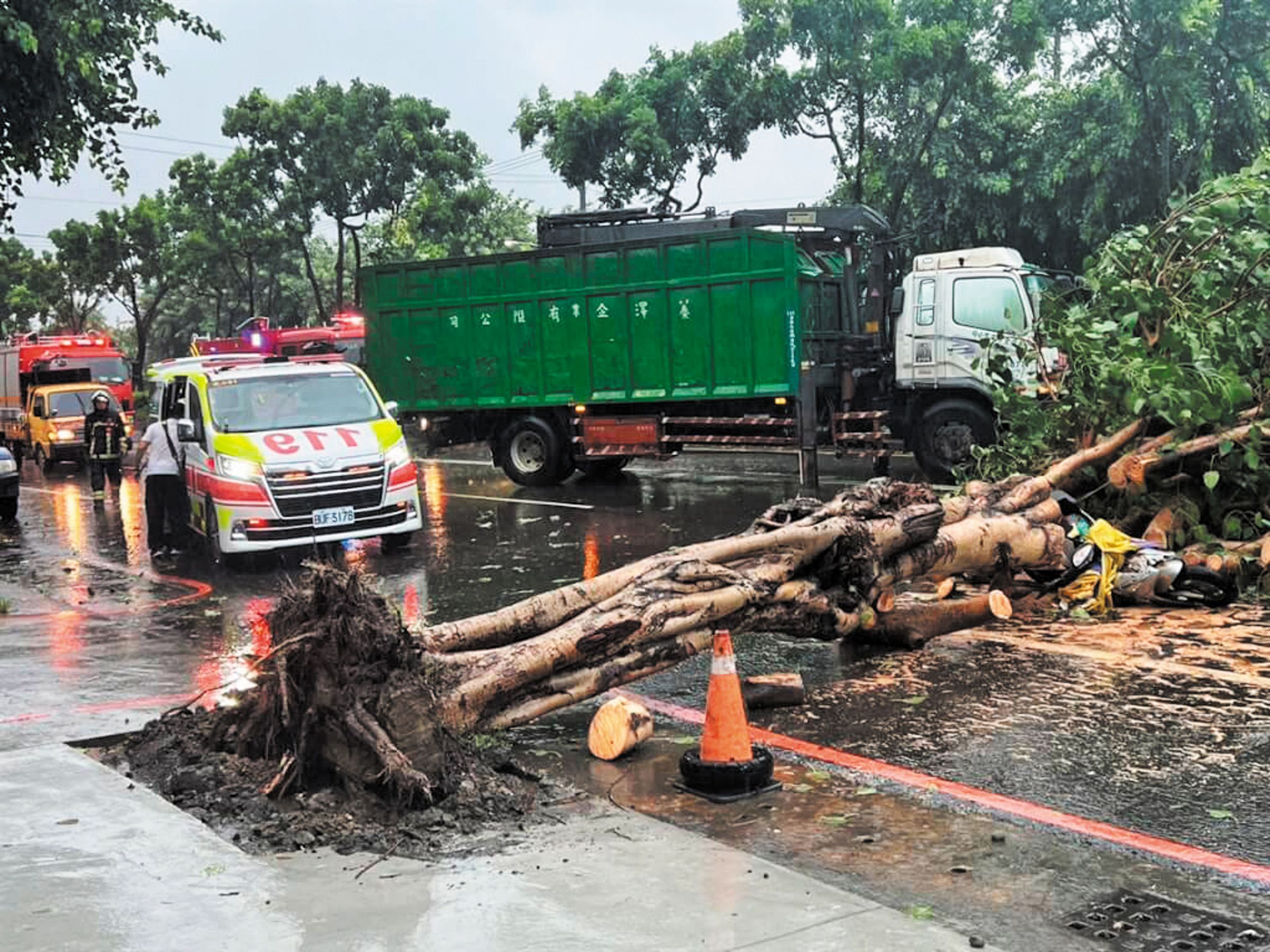 高雄婦人騎機車遭傾倒的路樹擊中,傷重不治。(高雄市消防局提供)