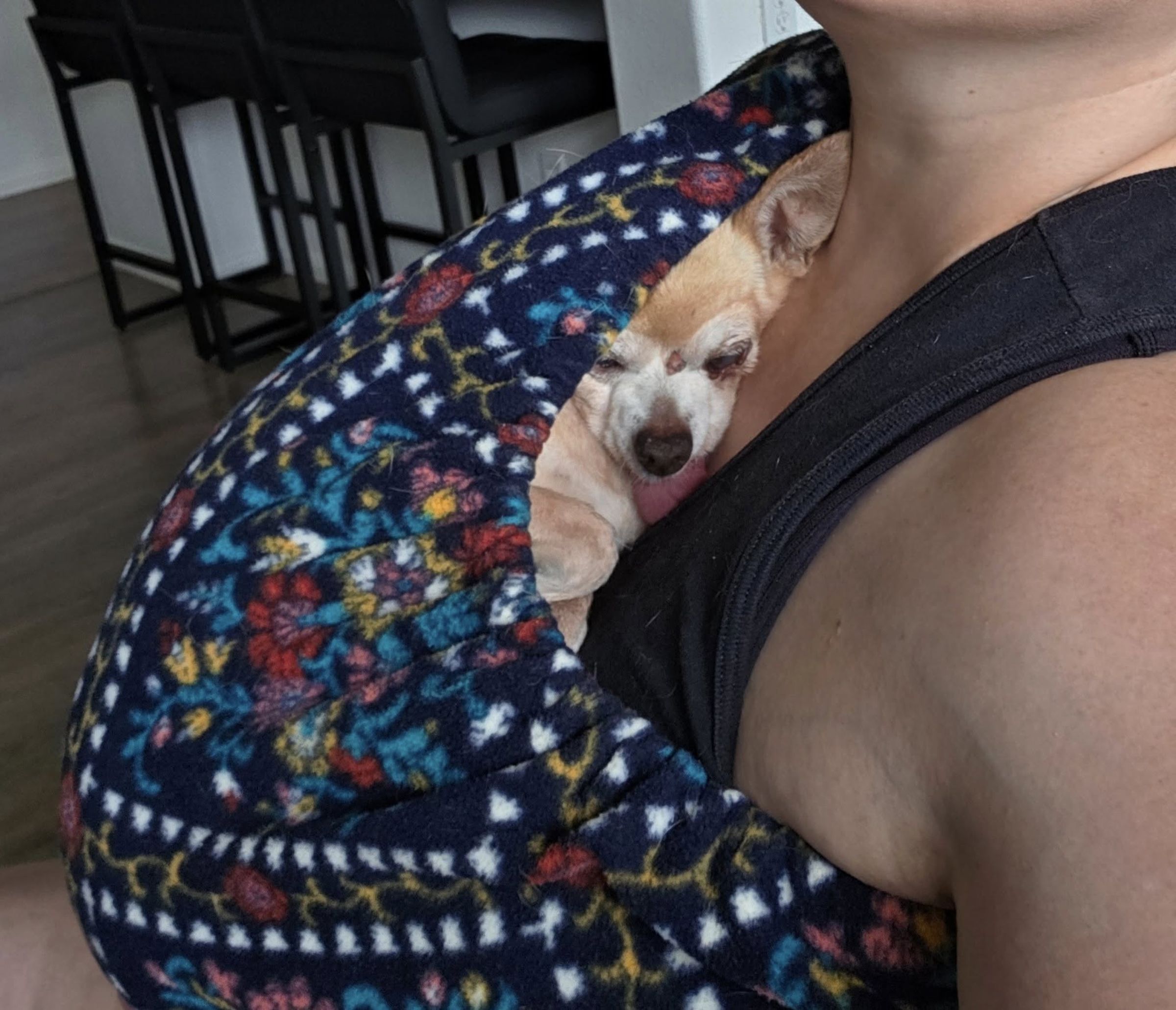 雖然有了「假人爸爸」,寵愛犬的格雷斯還是會在工作時將Dingo揹在懷裡,讓牠更有安全感。(翻攝自facebook@Janelle Grace )