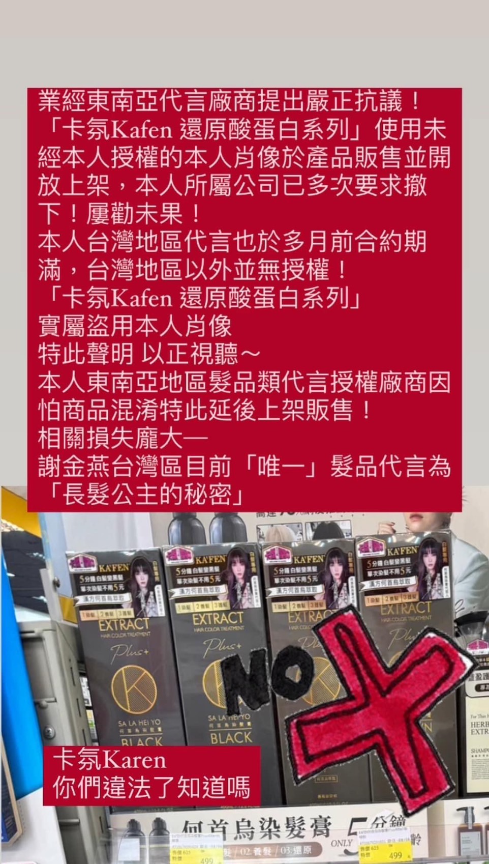 謝金燕難得在臉書說重話。(翻攝自謝金燕臉書)