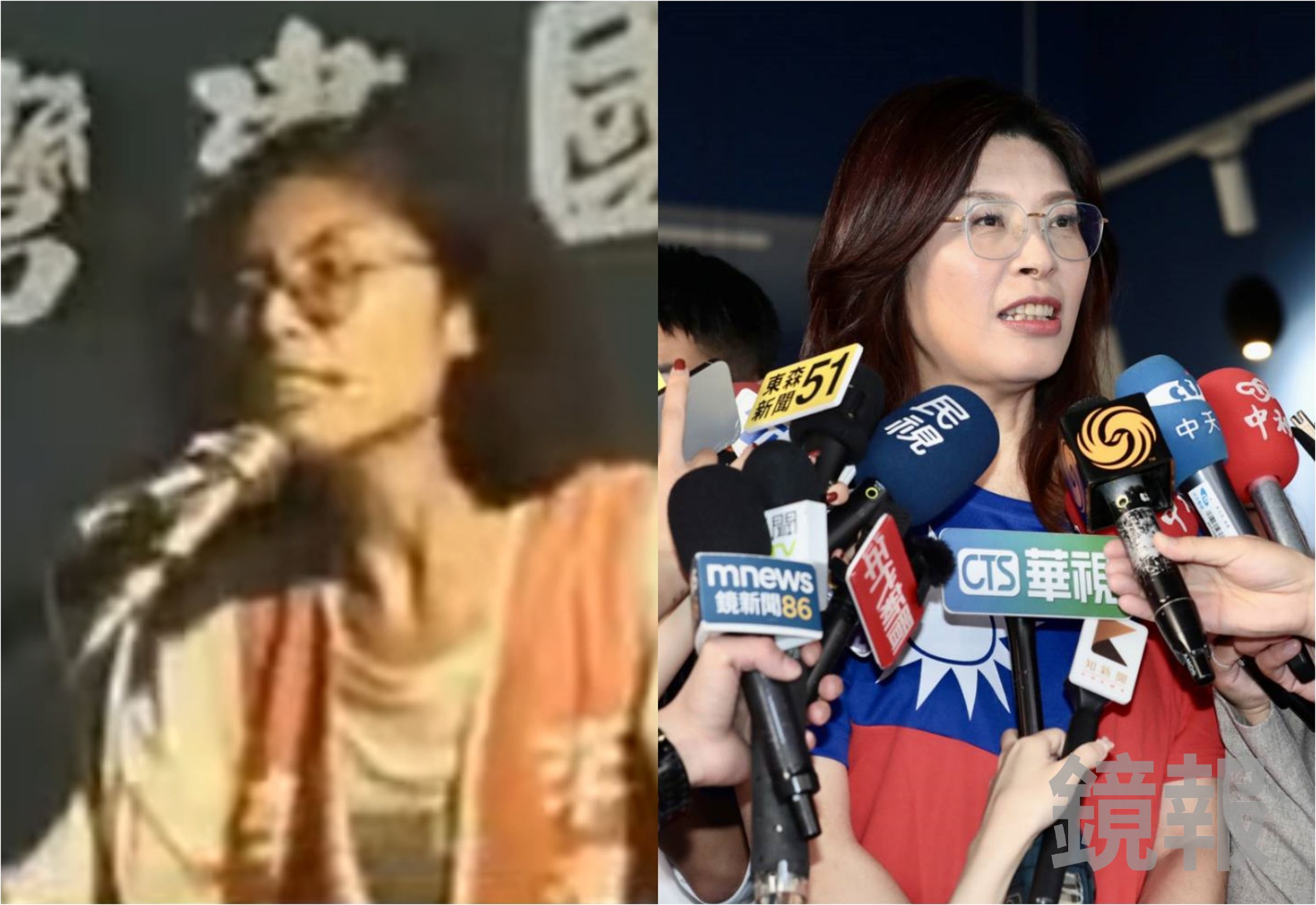 鄭麗文過去主張台獨,稱要推翻國民黨,如今卻成為國民黨主席。(翻攝網路/鏡報林煒凱)