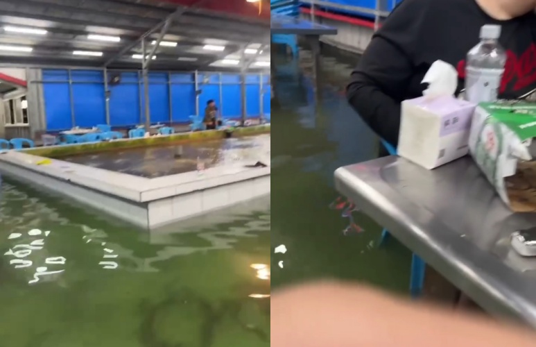 宜蘭釣蝦場被大雨淹至腳踝高，釣客卻照樣釣蝦吃飯，場面宛如「水上餐廳」，被網友笑封為「沉浸式釣蝦」。（翻攝自Threads）