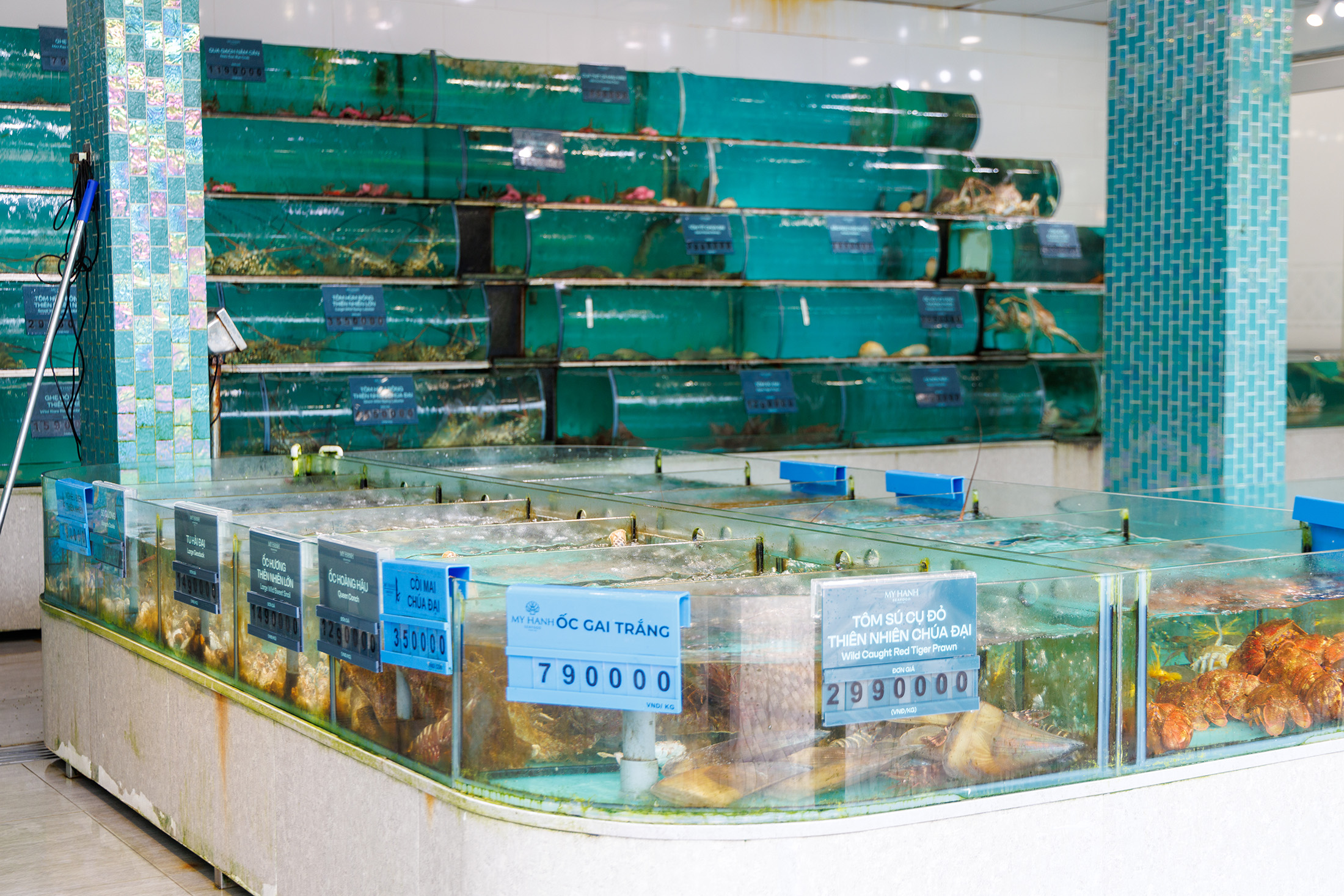 My Hanh Seafood餐廳門口前，能看到養殖在水缸裡活跳跳的生猛海鮮。