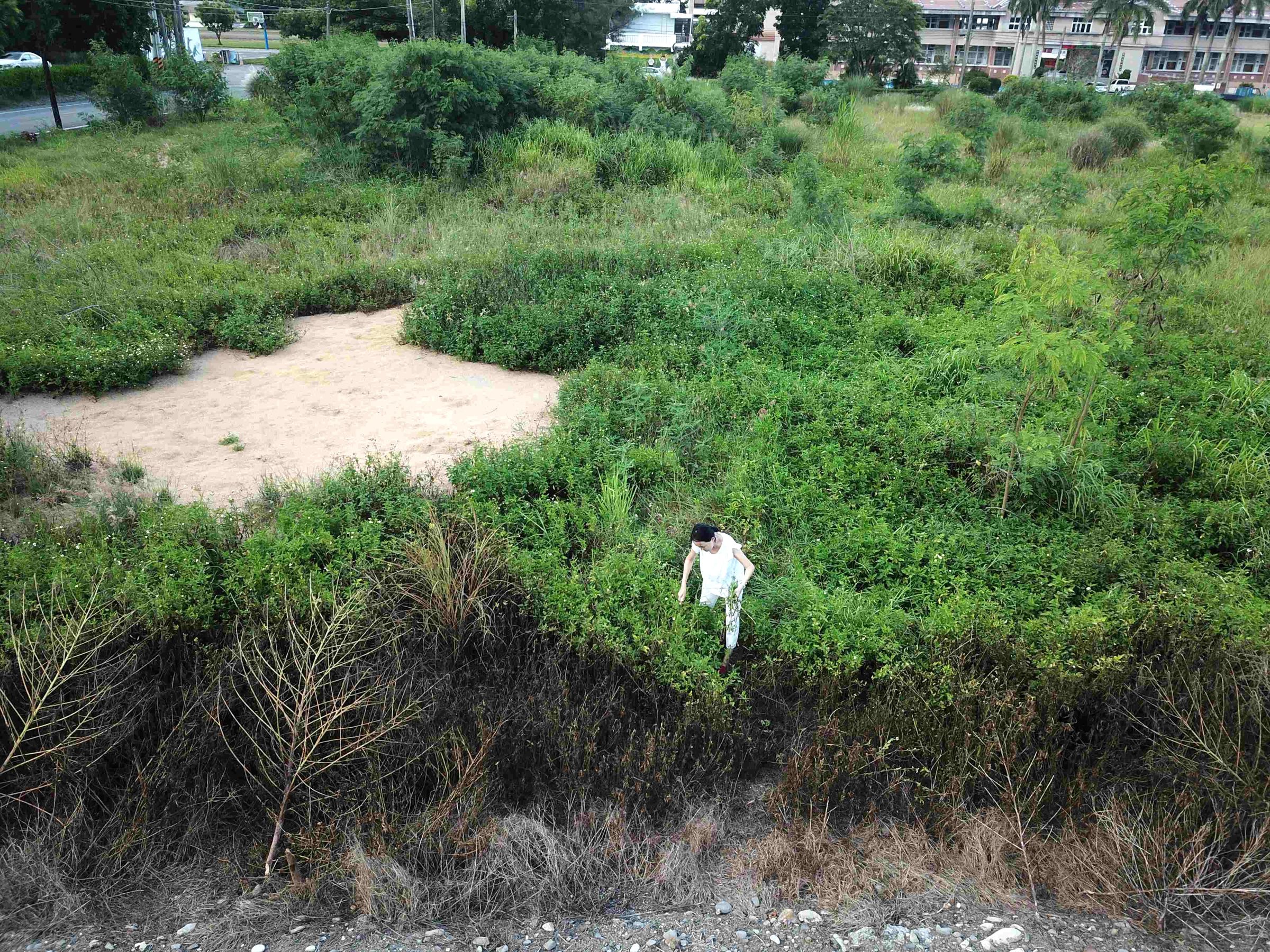 2023年8月，酒廠預定地仍是一片荒煙蔓草，創辦人李素溶到現場勘查。（池上蒸餾所提供）