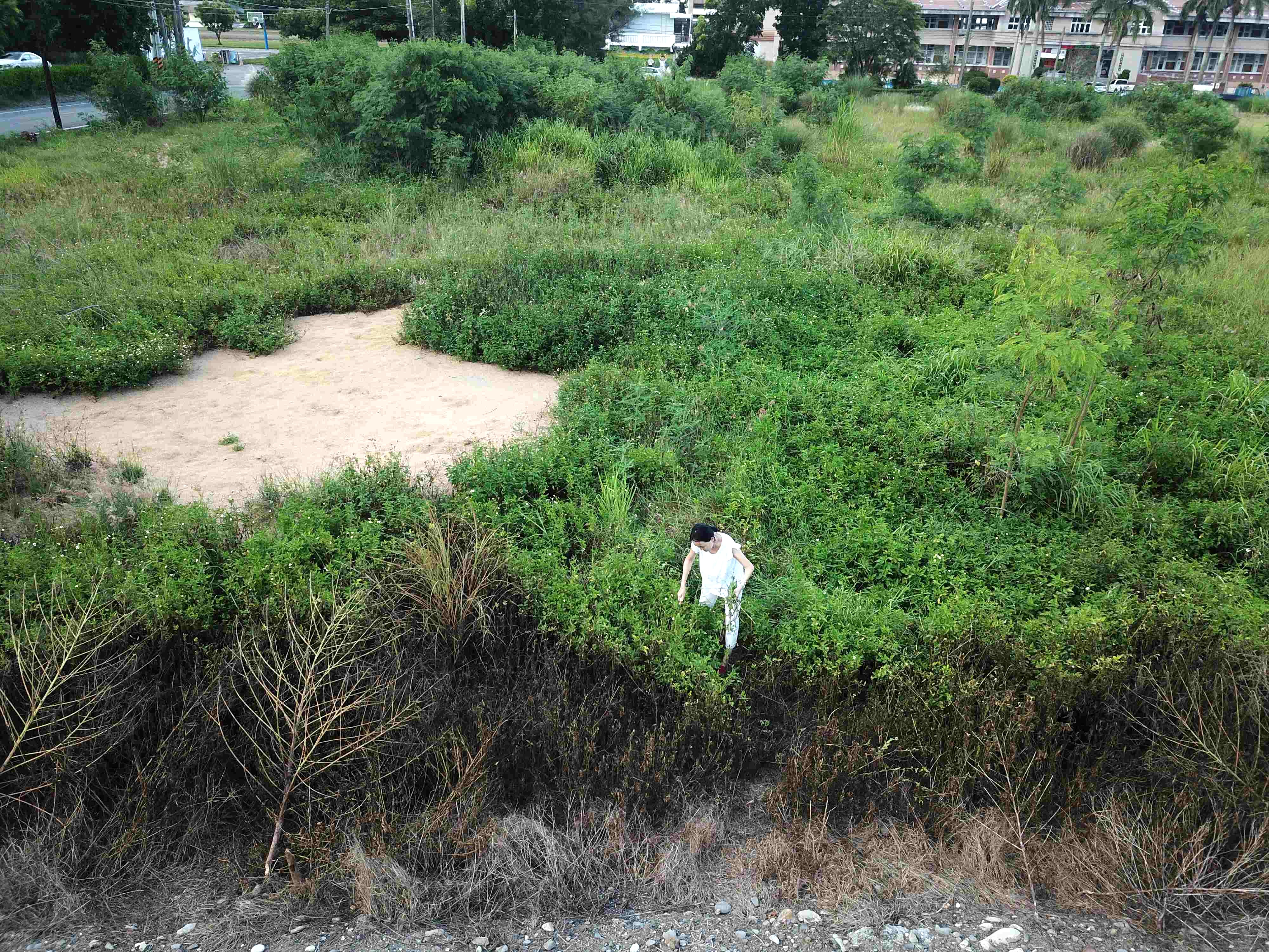2023年8月,酒廠預定地仍是一片荒煙蔓草,創辦人李素溶到現場勘查。(池上蒸餾所提供)
