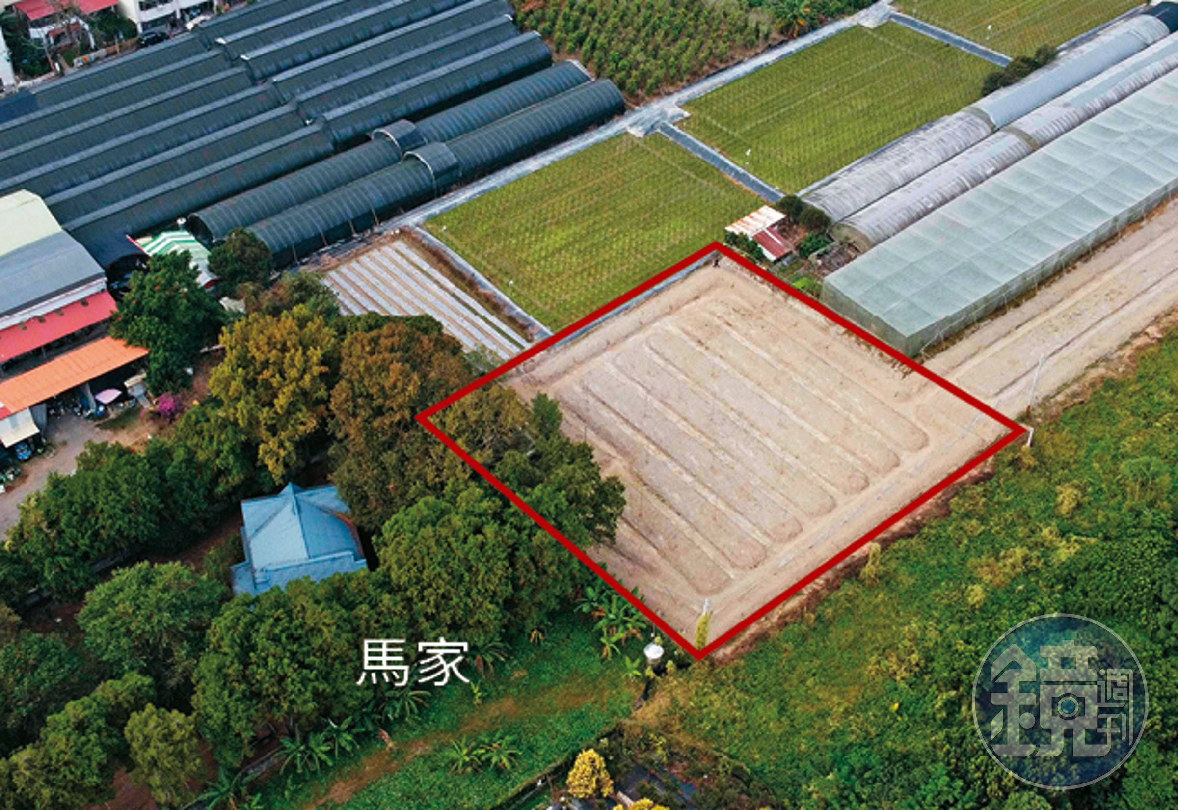 馬文君家族後續還買下緊鄰莊園的農地（紅框處）。