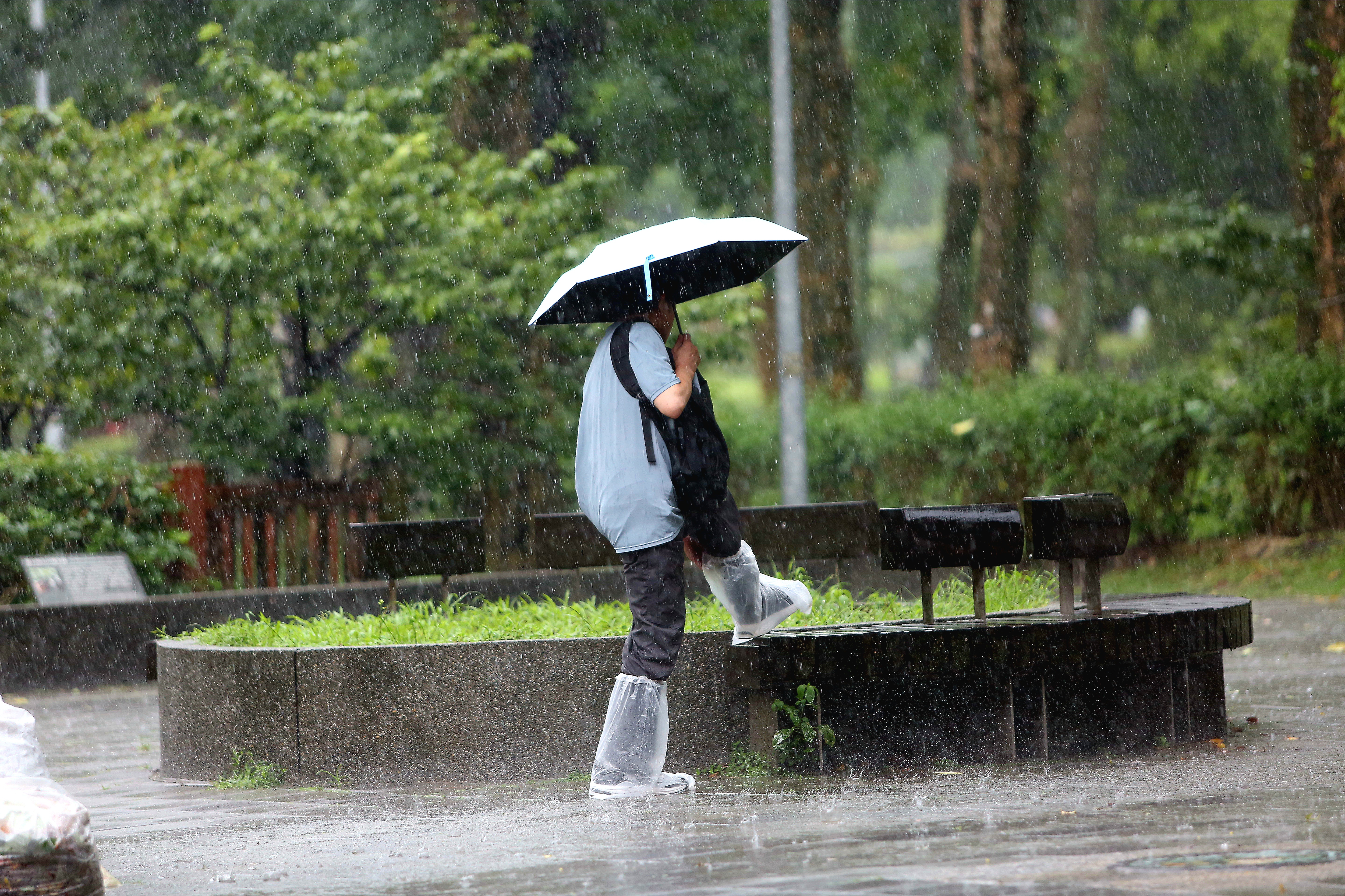中央氣象署針對8縣市發布大雨特報。（鏡報姜永年）