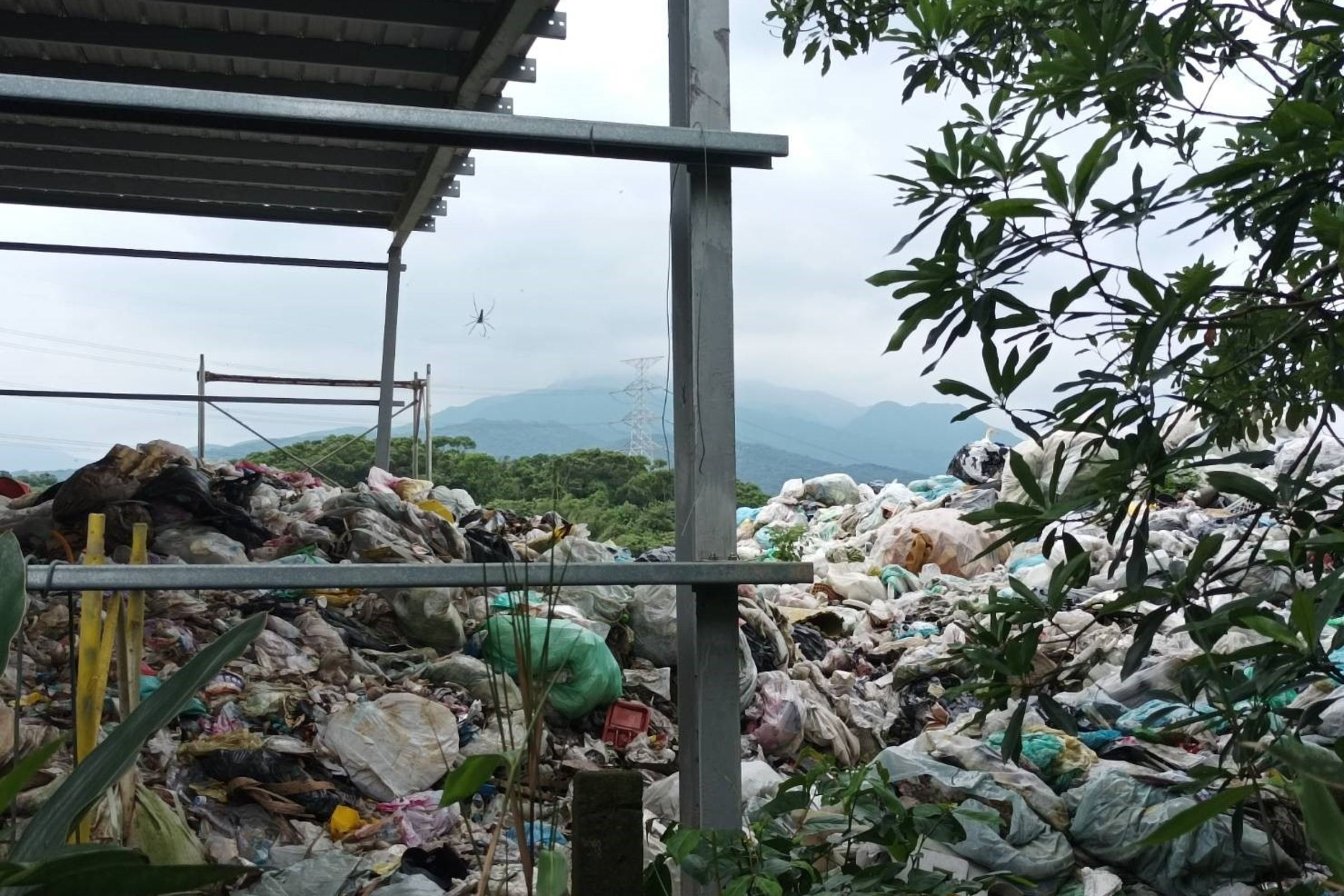 不肖業者將廢棄物傾倒在北海岸樹林間,導致附近居民受惡臭所苦。(翻攝畫面)