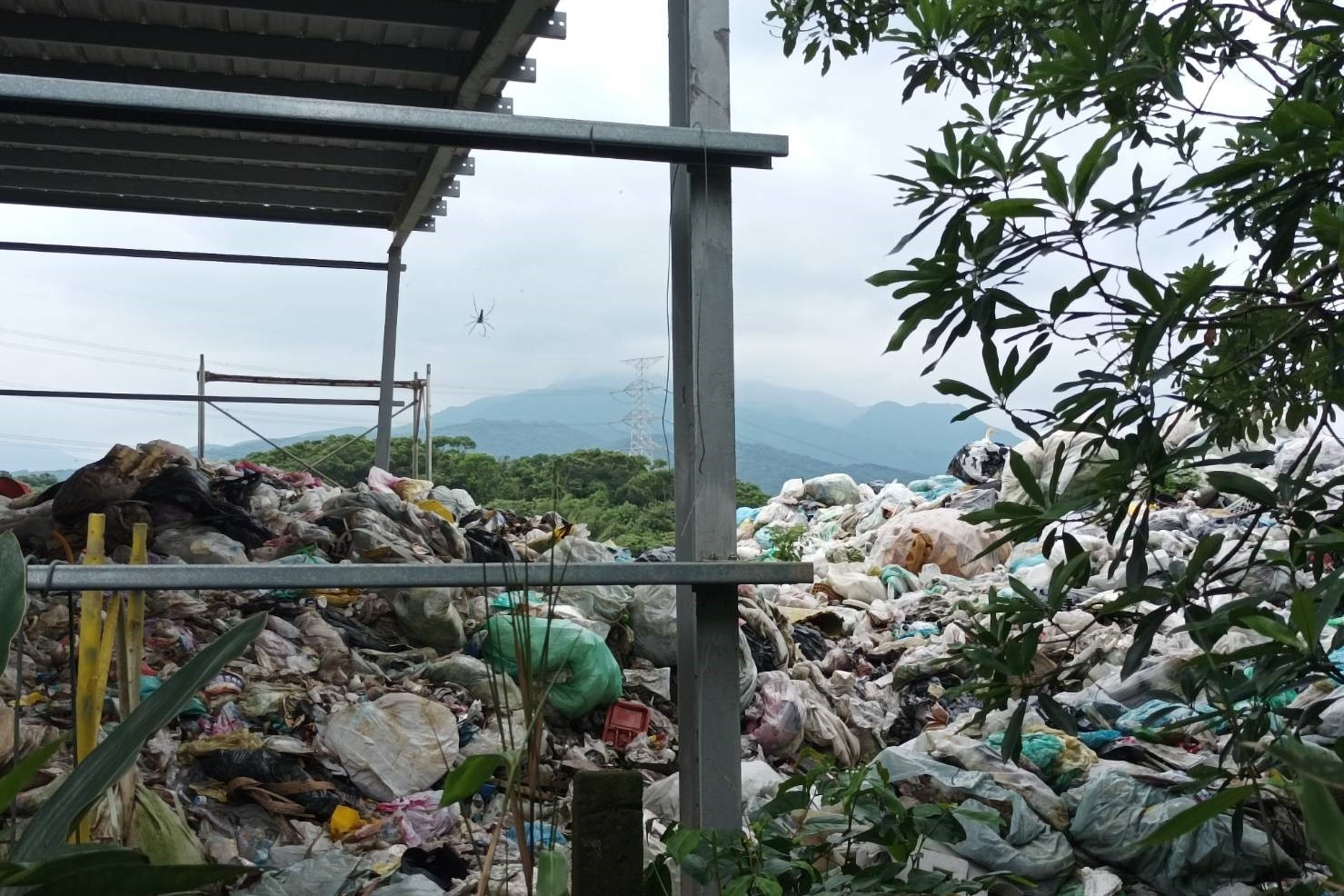 不肖業者將廢棄物傾倒在北海岸樹林間，導致附近居民受惡臭所苦。（翻攝畫面）