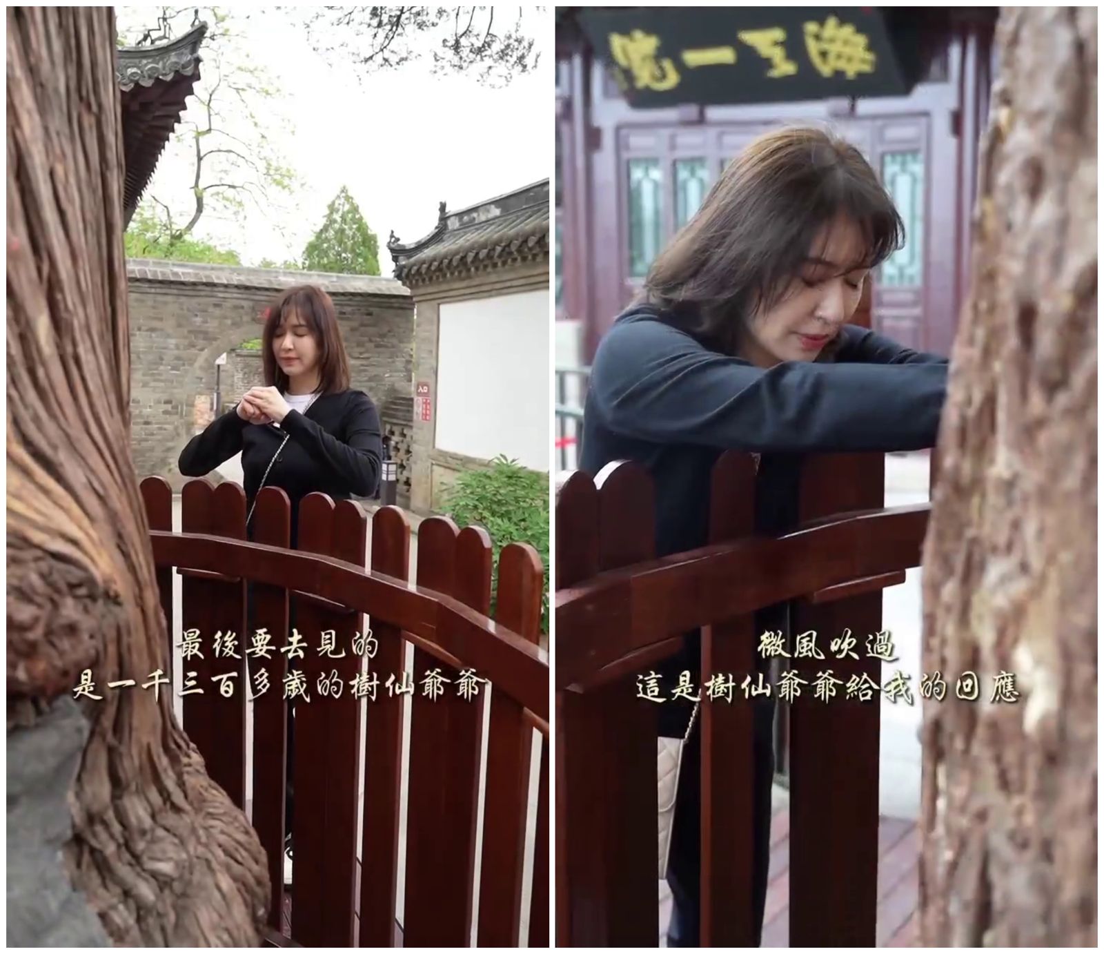 蔡依珊看到千年古樹，沈澱心靈。（翻攝pattytsai13 IG）