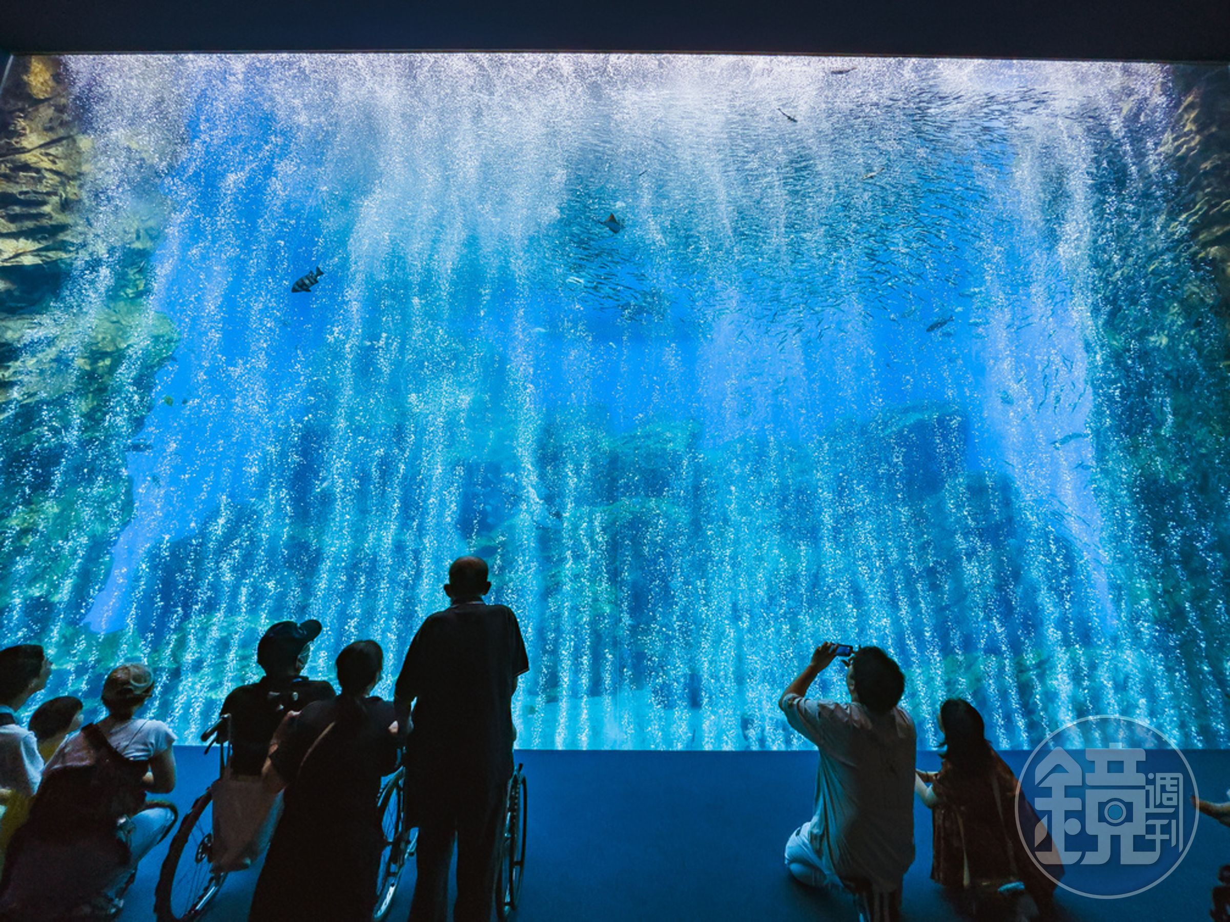 一進到入口處旋即被搭配音樂的巨大水族箱吸引,現場遊客跟我一樣,久久不捨離去。