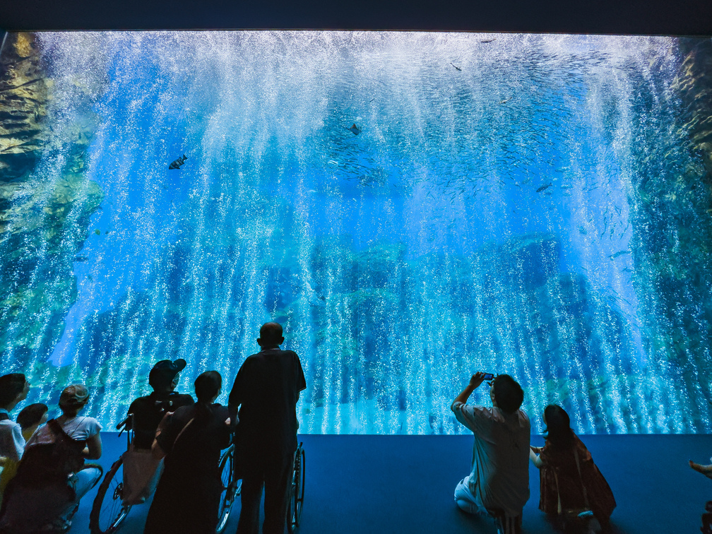 一進到入口處旋即被搭配音樂的巨大水族箱吸引,現場遊客跟我一樣,久久不捨離去。