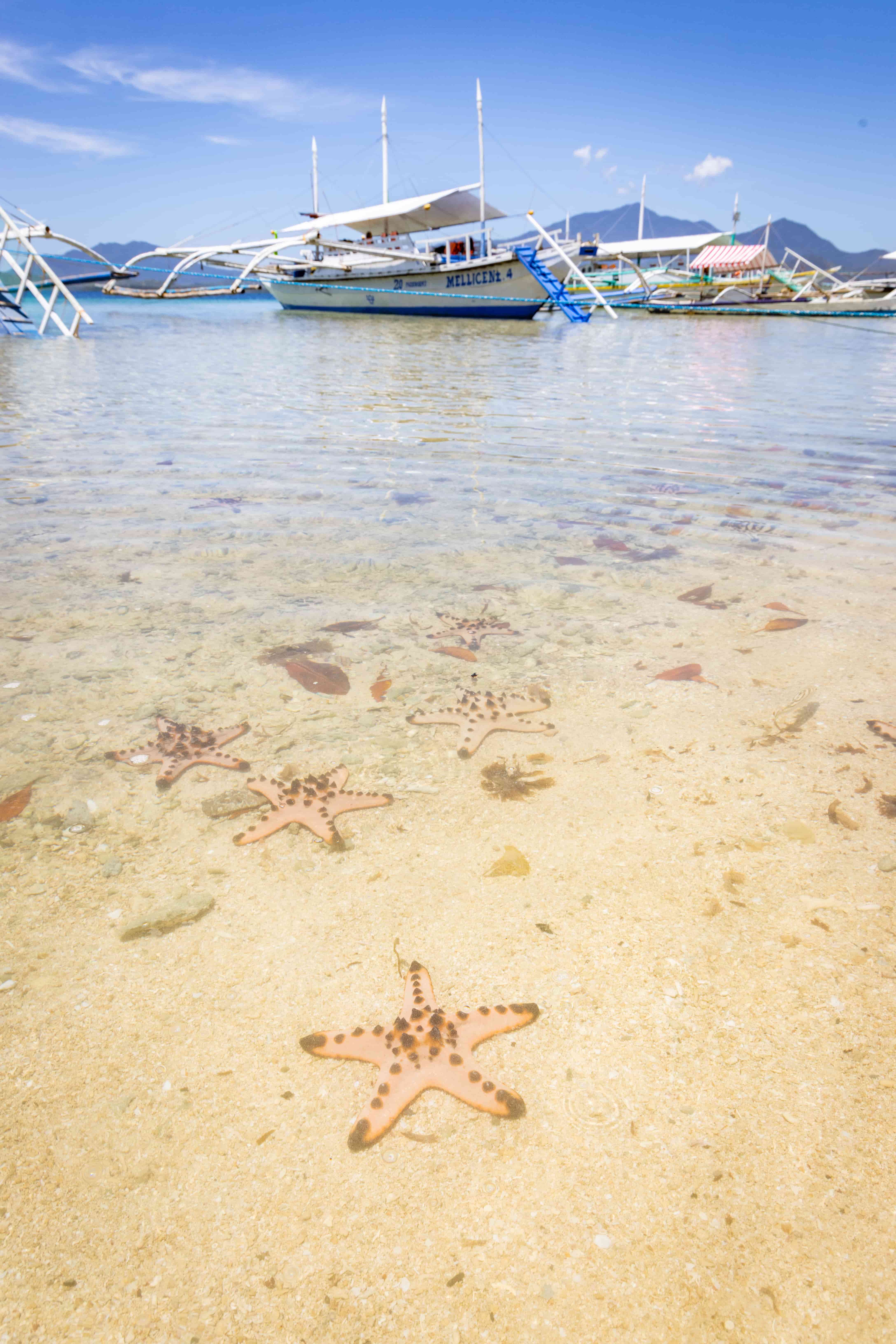 島如其名的海星島，隨處都能看到可愛的海星趴在清澄的海水下。