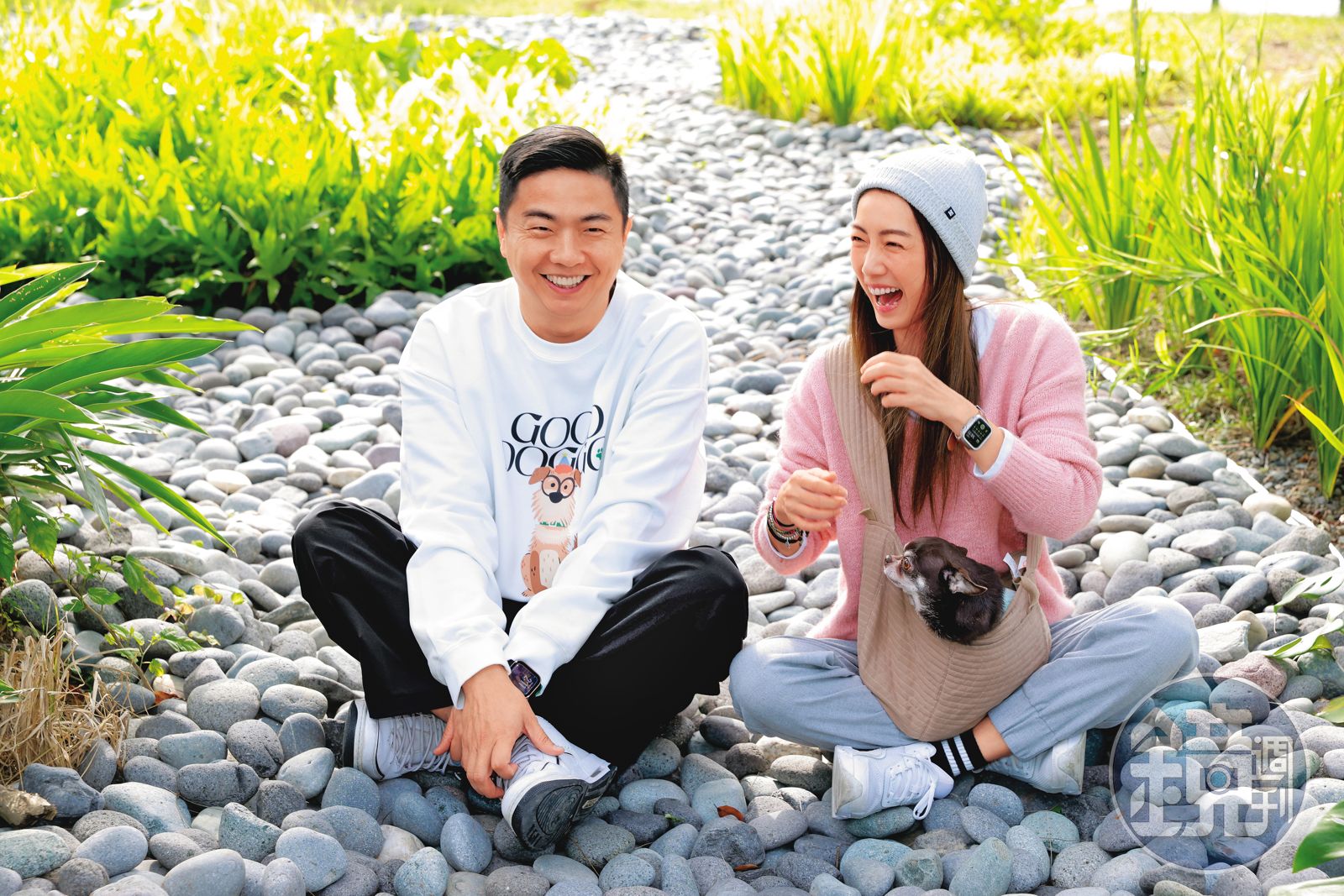 熊爸估狗/聽見人聲暴衝 林韋君怕吉娃娃出門被踹