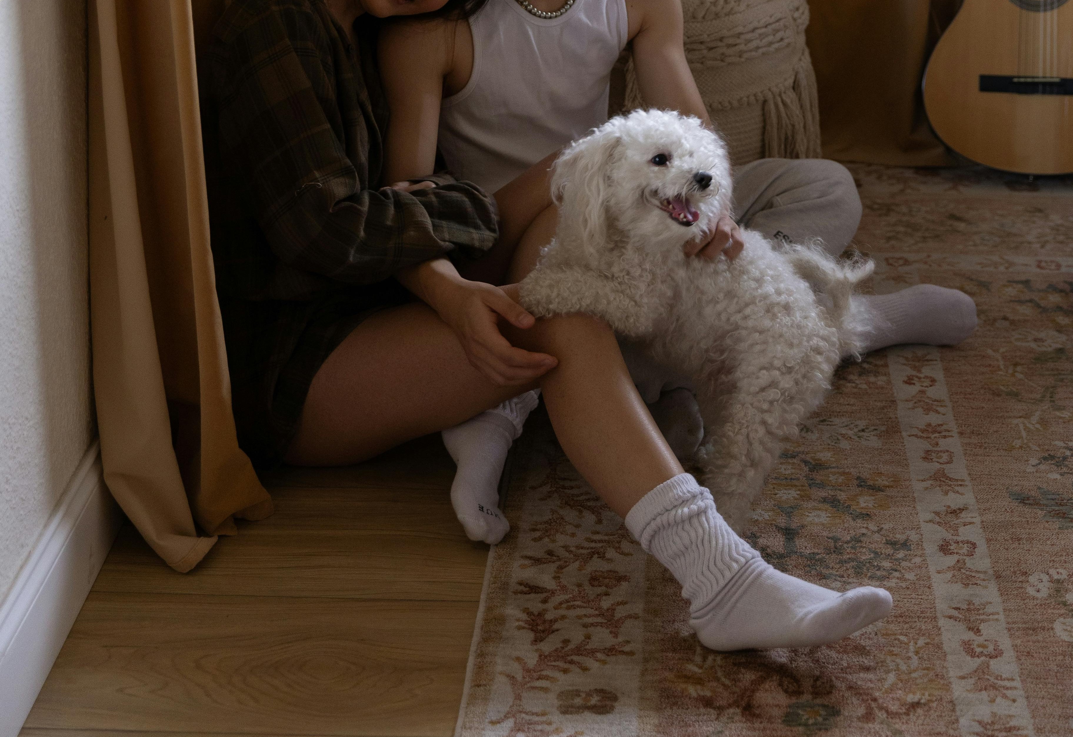 一對情侶分手後，女方因未依約歸還男方飼養的貴賓狗，遭男方將個資PO網公審。示意圖，非當事人（pexels）