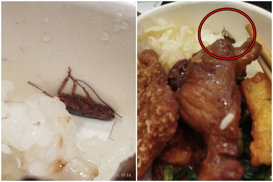 一名網友在新左營站購買一份120元的台鐵便當，卻沒想到準備開吃時，竟發現有「一整隻蟑」。（翻攝自Threads）