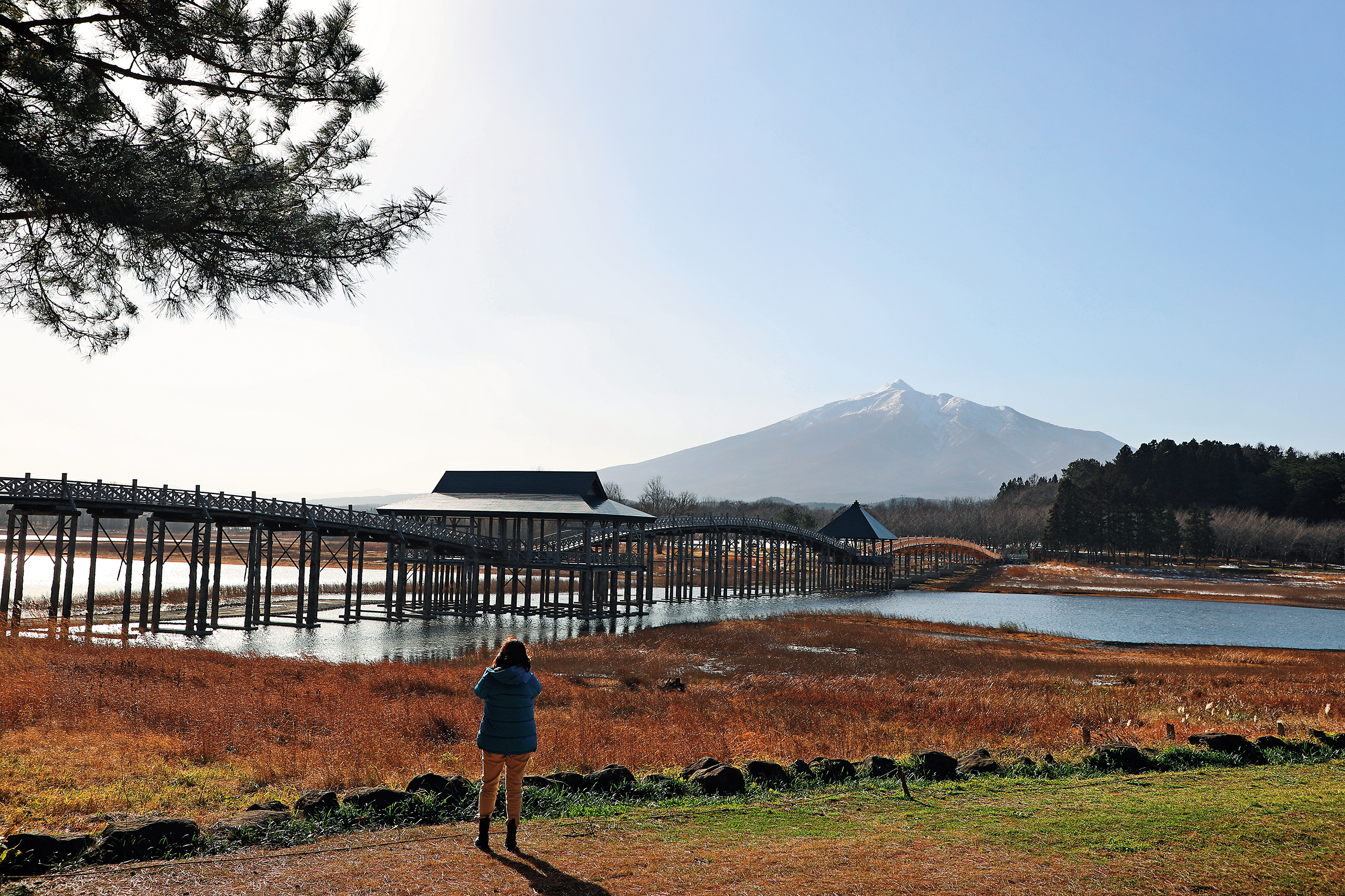 「鶴舞橋」是日本最長的木造拱橋,清晨日暮都有不同的光影美景可賞。