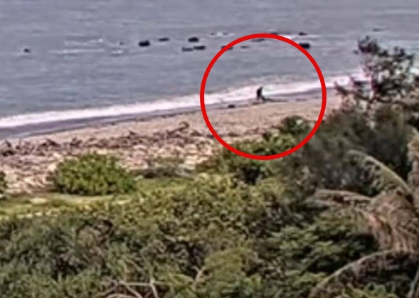 花蓮市8日發生凶殺案，一名男子在海邊殺害酒店小姐，過程全被水利署監視器拍下。（翻攝畫面）