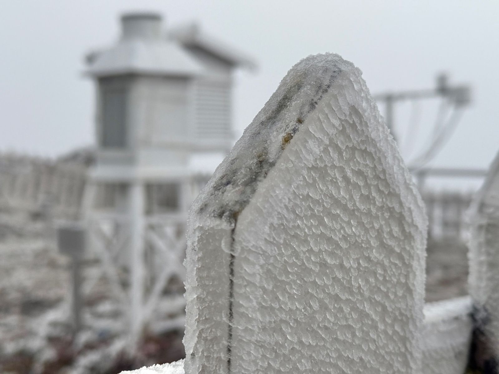玉山氣象站今日清晨發生霧淞、雨淞,早上7時溫度-4.1度,溫度持續下降中。(中央氣象署提供)