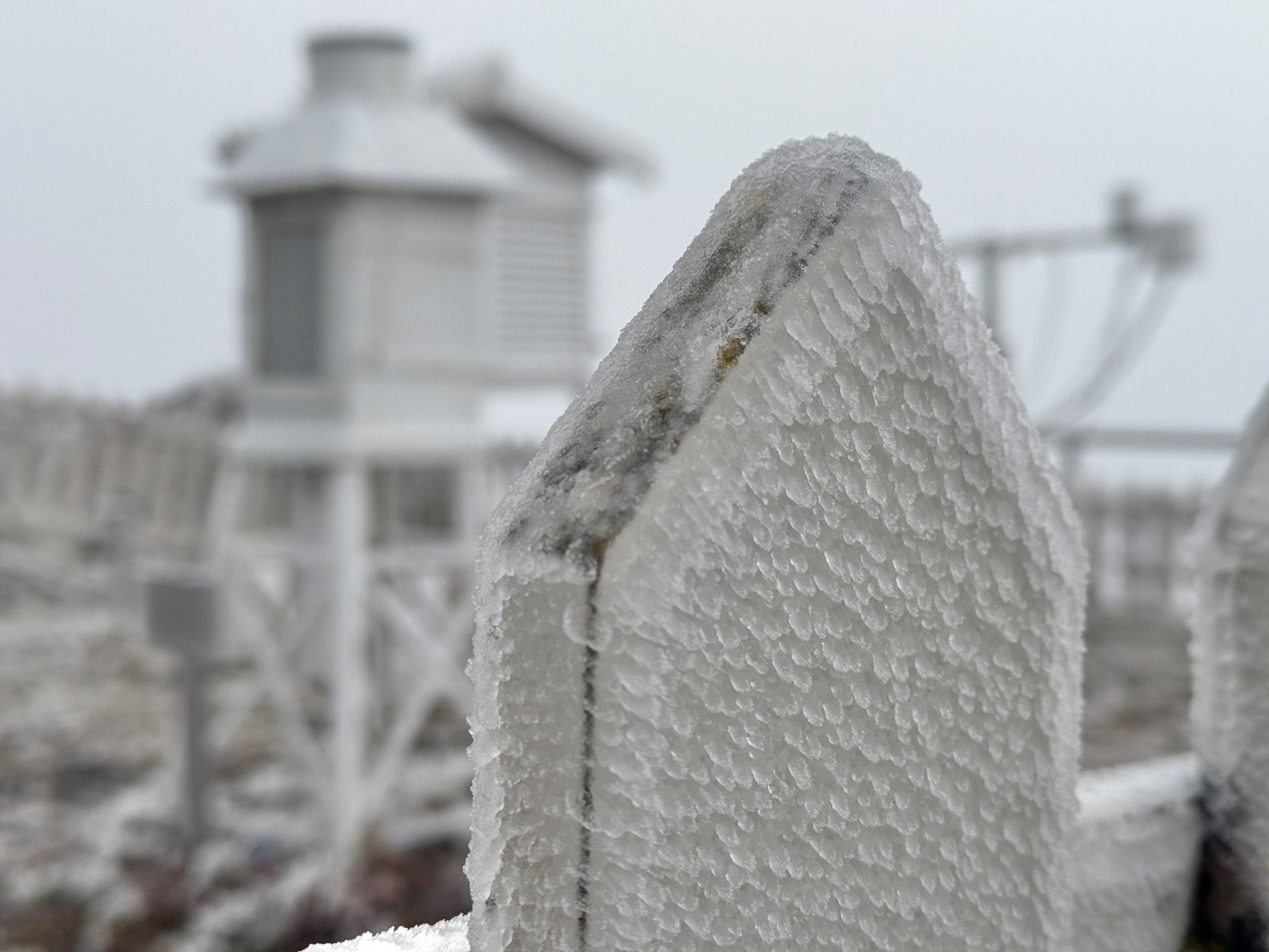 玉山氣象站今日清晨發生霧淞、雨淞，早上7時溫度-4.1度，溫度持續下降中。（中央氣象署提供）