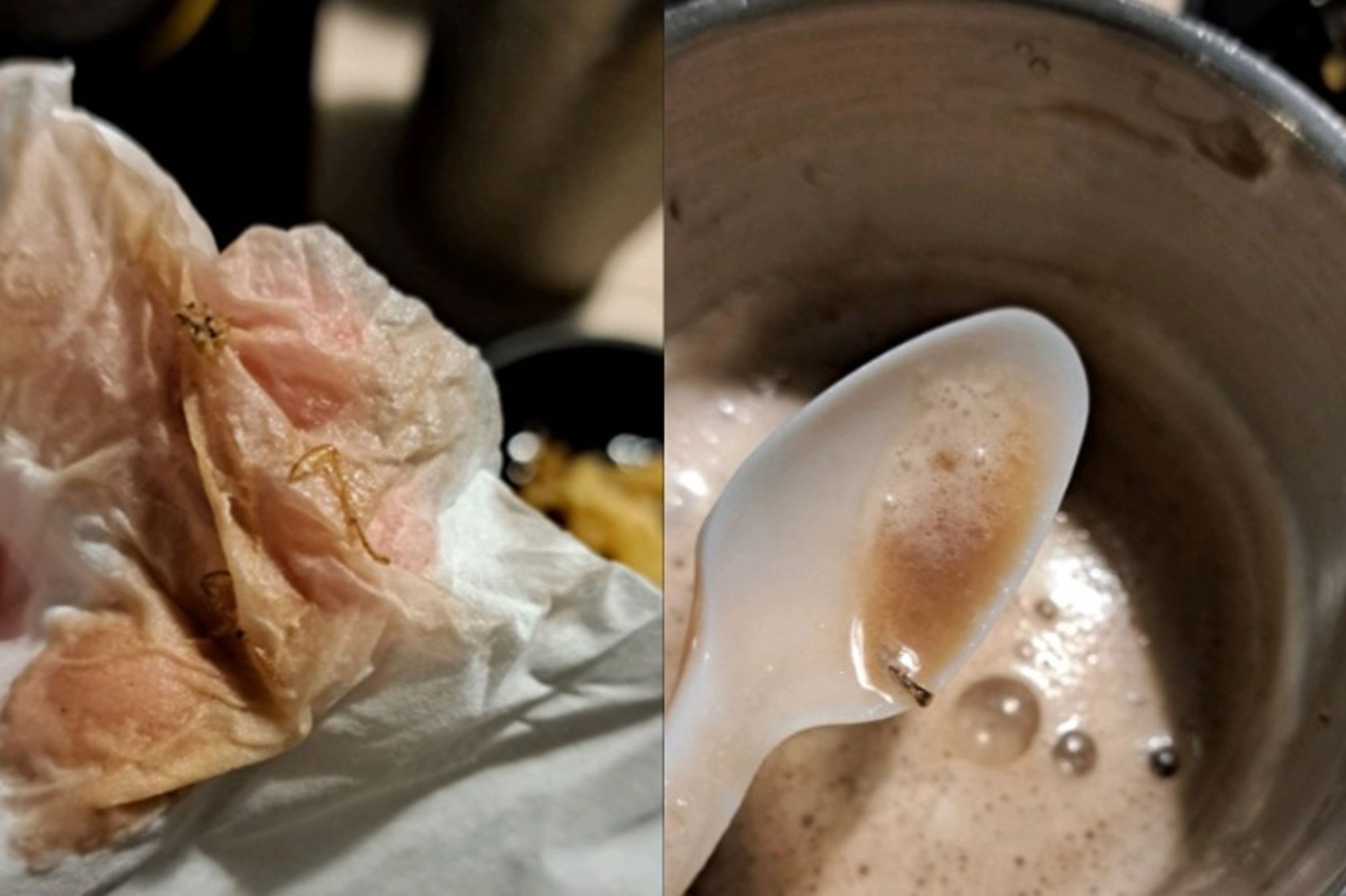 有民眾赴築間火鍋用餐,但卻在冰沙中喝到蟑螂碎屍。(翻攝自爆料公社)