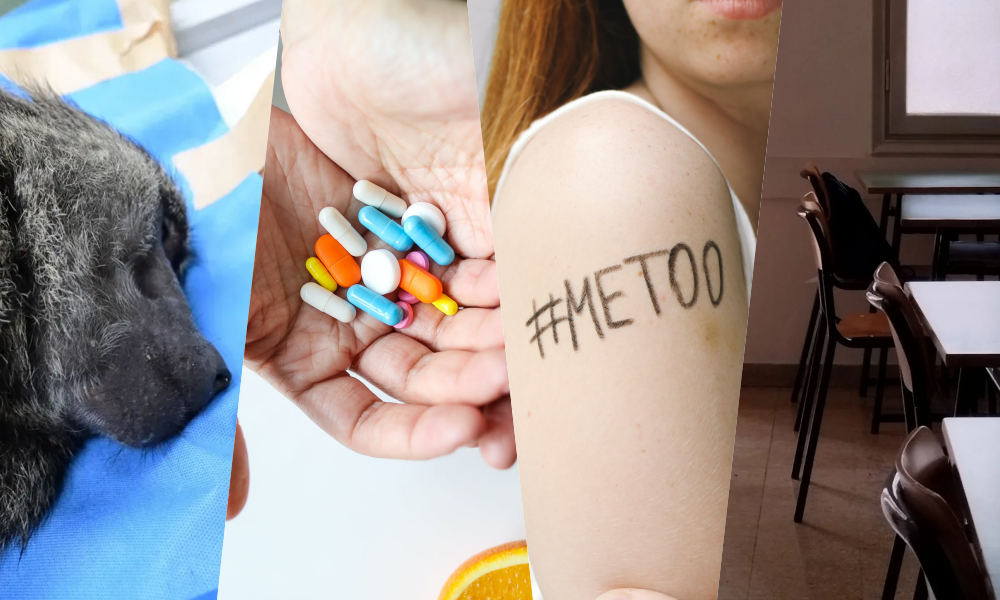 2023依舊動盪，除了世界上天災與戰火不斷，台灣也有多起引發全國關注的社會案件。（林務局、pexels提供）