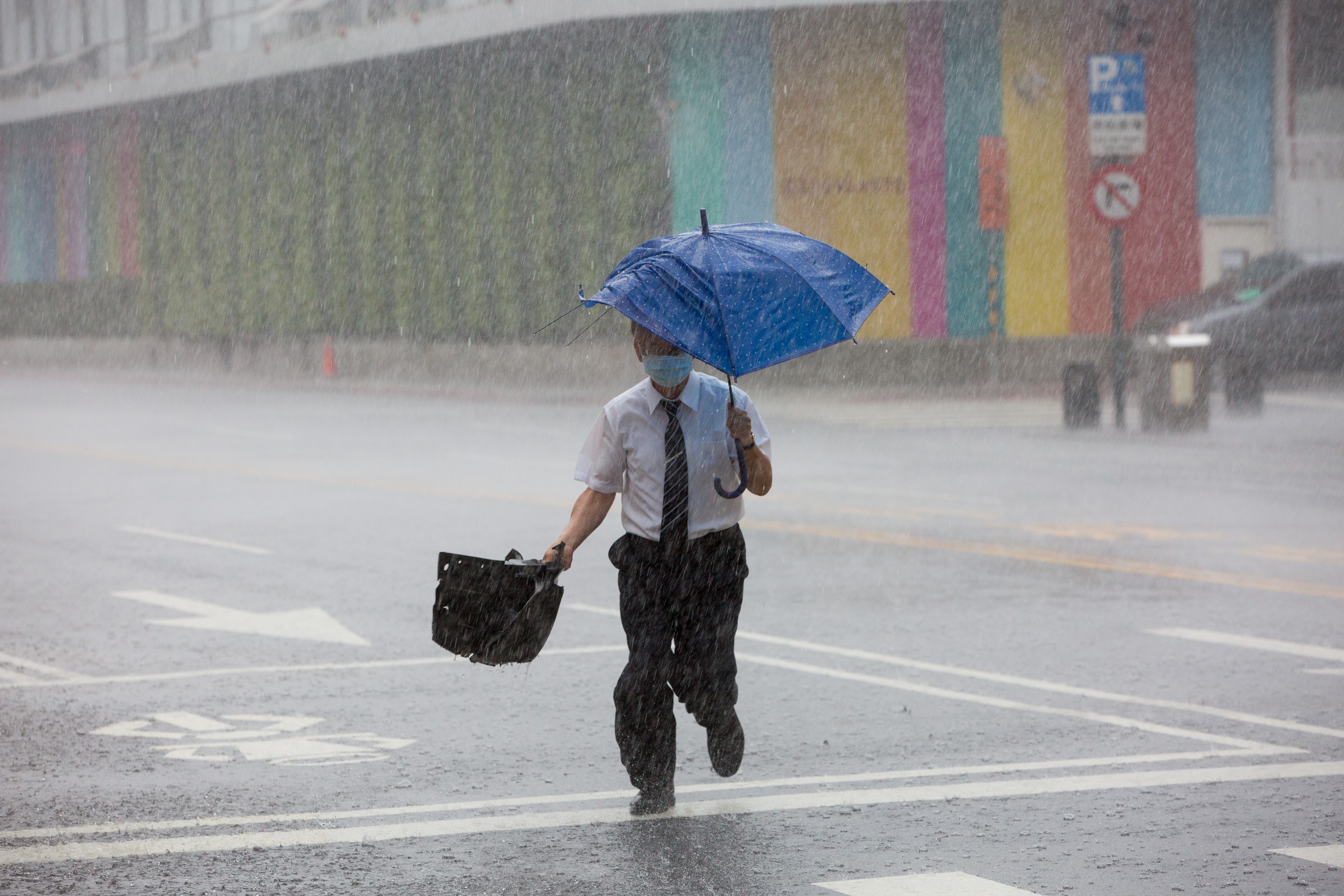 強颱山陀兒直撲台灣而來，比起豪雨，颳起的強風更需要防範。（本刊資料照）