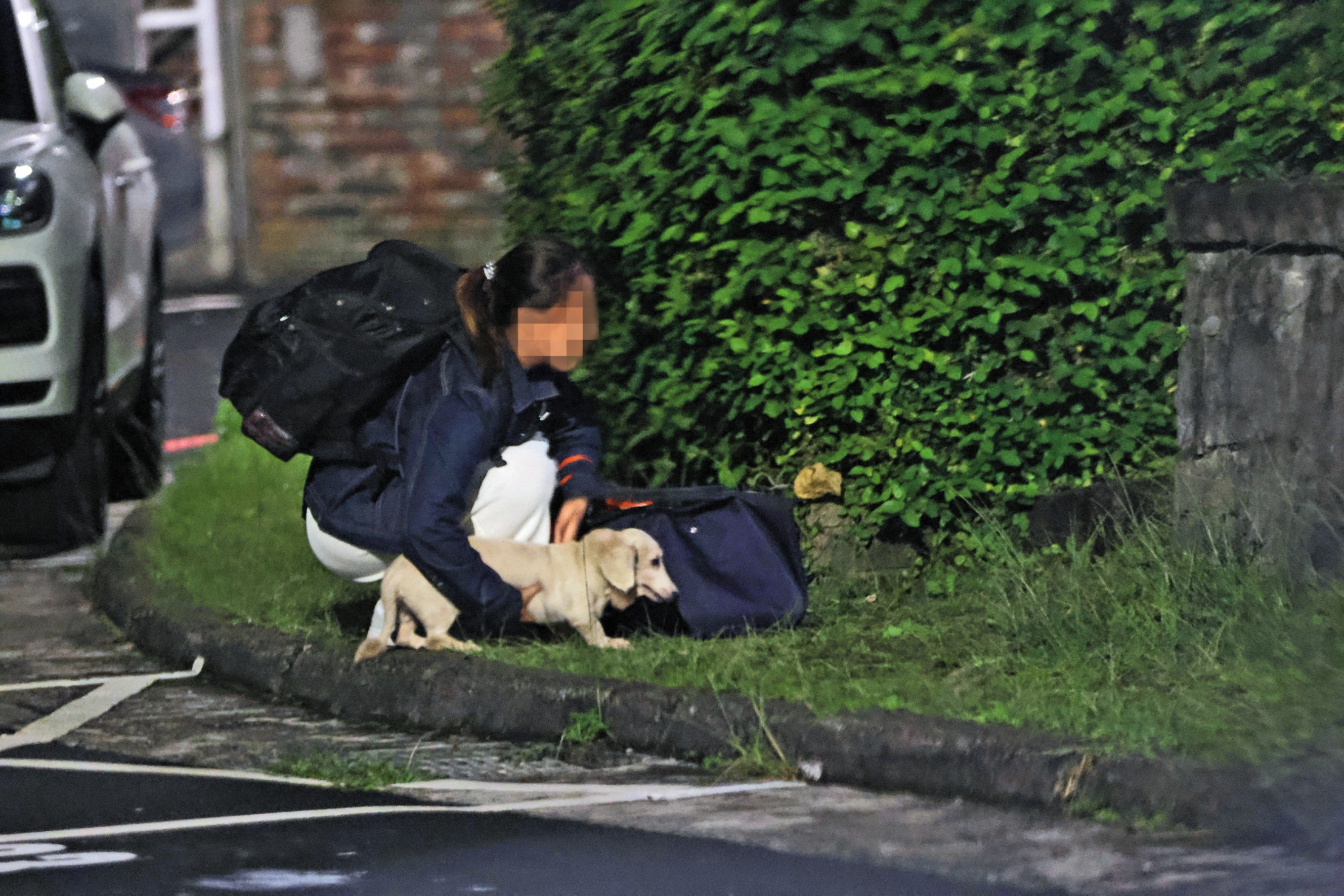 6/13 21：51 女密友還帶著自己的愛犬去黃家，進屋前先遛了一下狗狗。