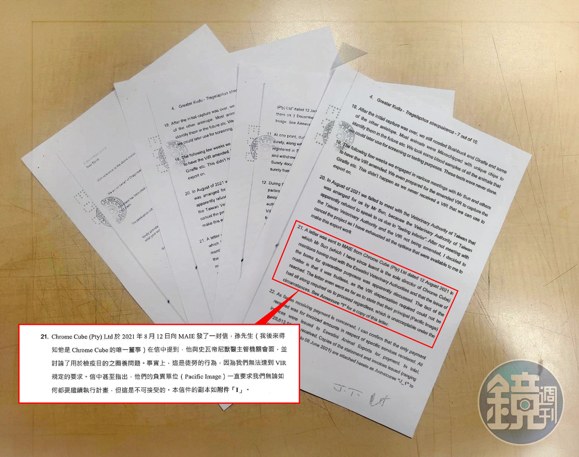 史瓦帝尼掮客出具文書提及,孫耀亨無法符合台灣農委會輸入動物規範,仍執意要他們捕捉動物,足以佐證詐欺意圖明確。(大圖為英文原件,小圖為中文翻譯)(讀者提供)
