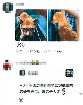 陳姓動保員遭控在動保處群組內，用嘲諷羞辱的言語霸凌舊廠商員工。（讀者提供）