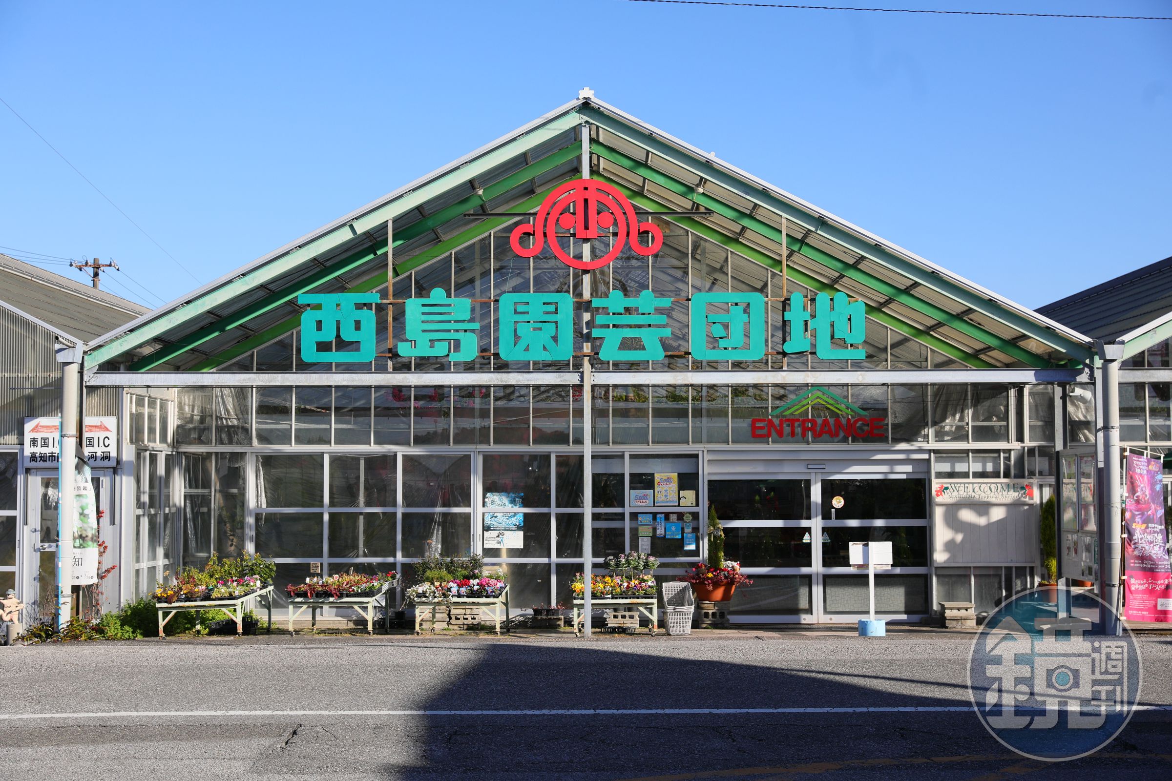 採溫室栽種的「西島園藝團地」,全年都吃得到哈密瓜跟西瓜,1到6是草莓季,6到7月產蘋果、芒果,10月開始採收番茄。