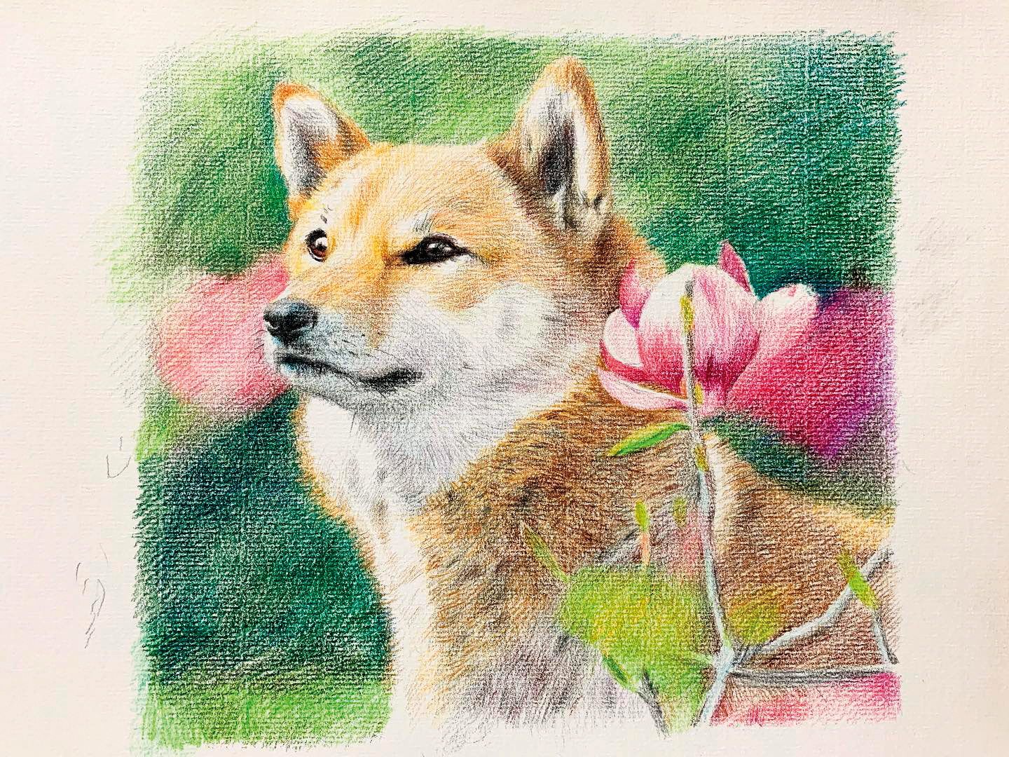 馬俊麟很疼呀比,他眼中的呀比被他畫下來,非常可愛。(翻攝自馬俊麟臉書)